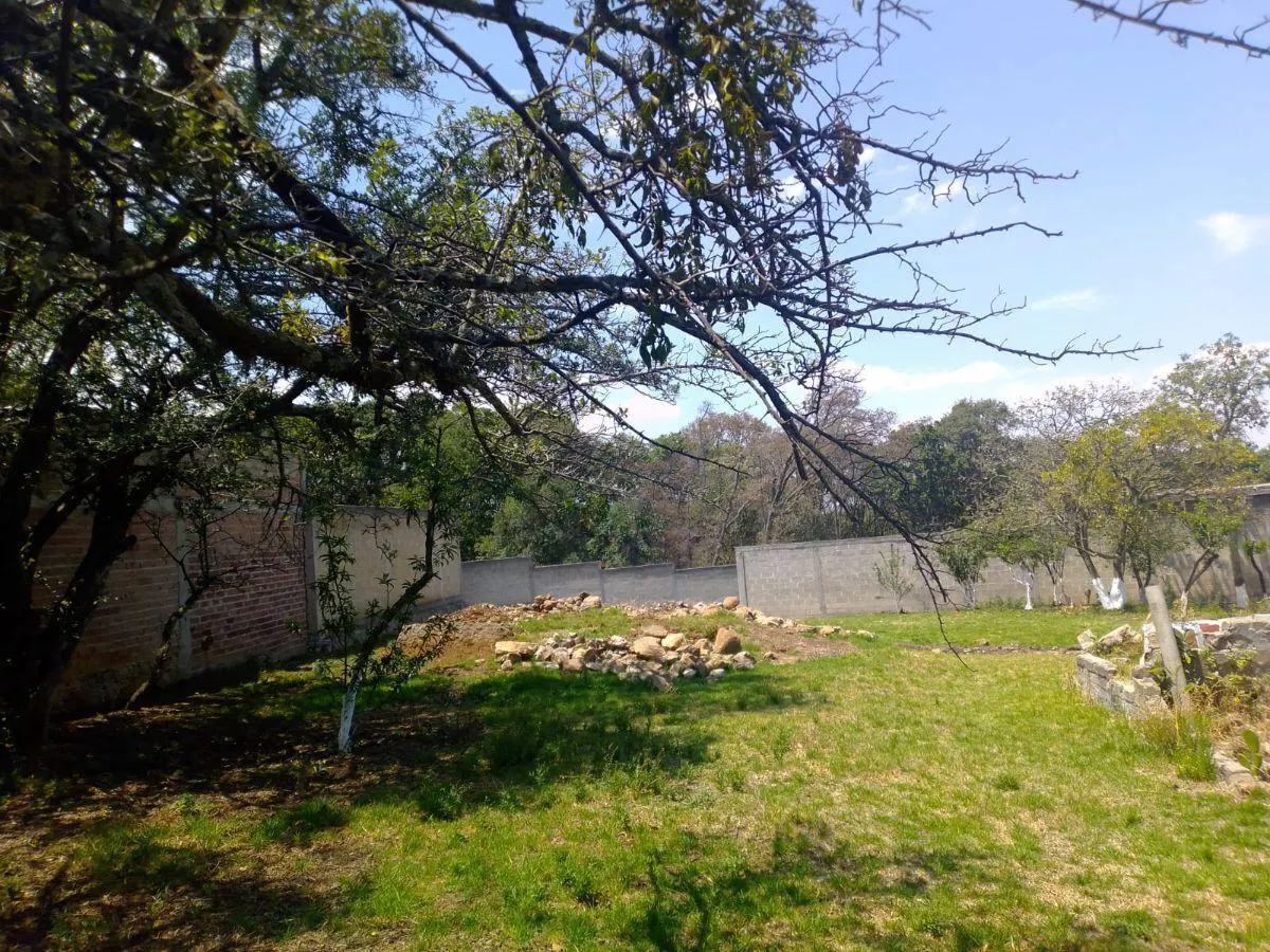 Terreno Spot2