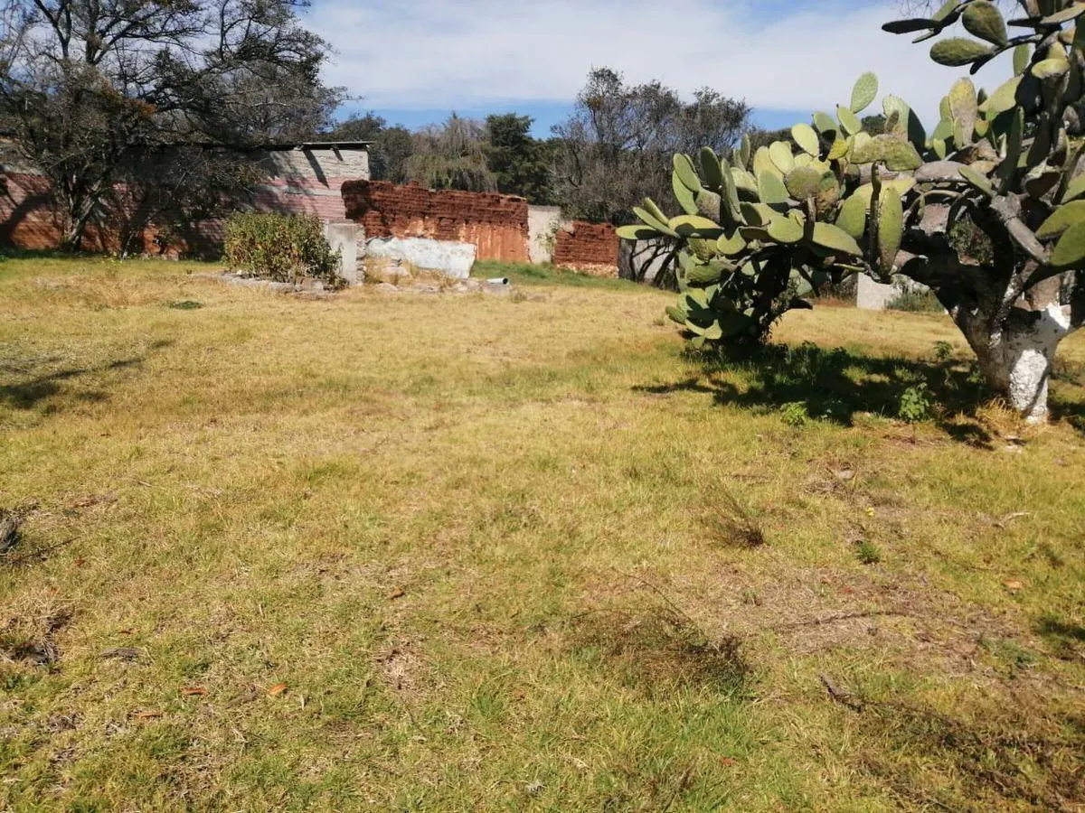 Terreno Spot2