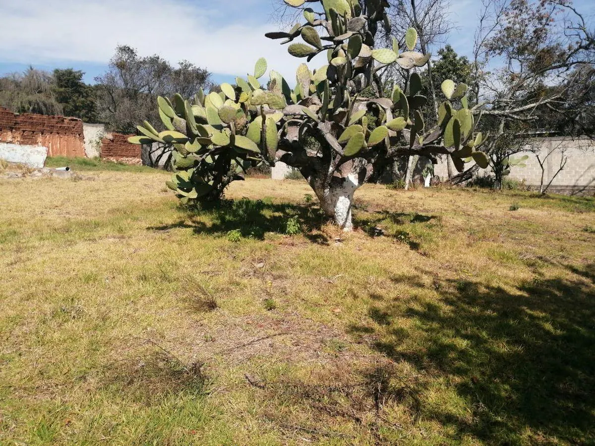 Terreno Spot2