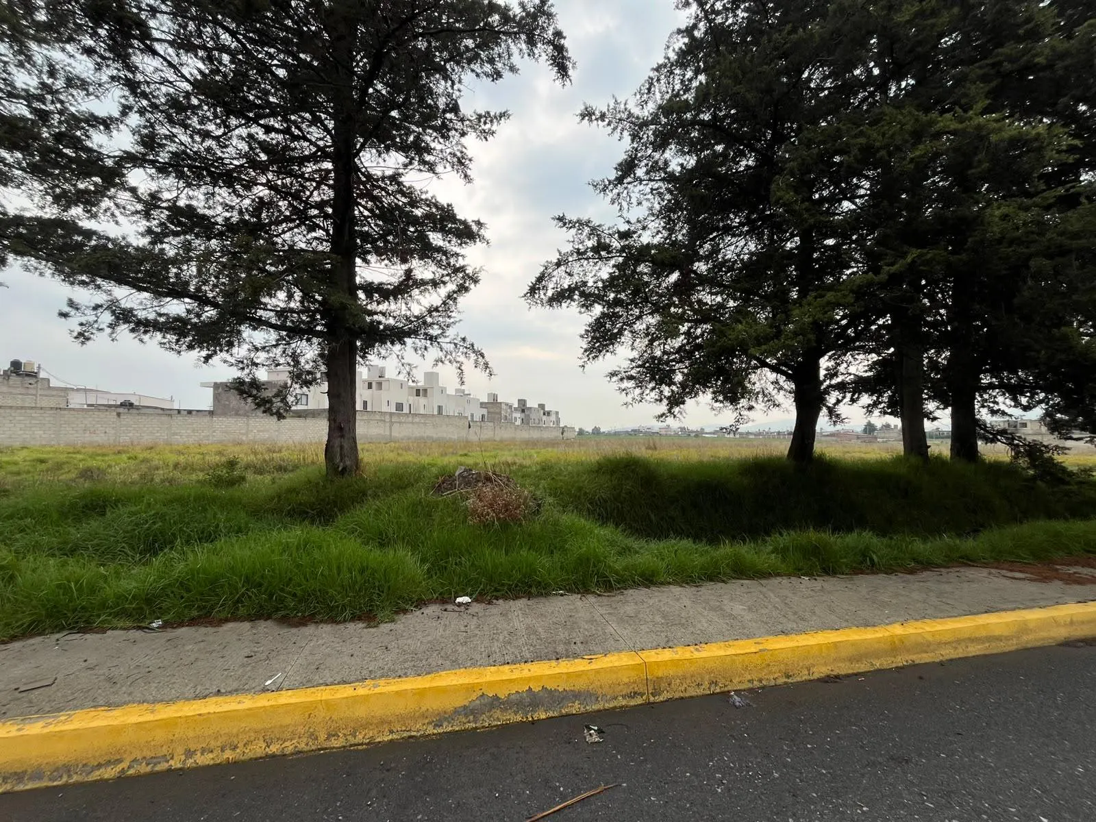 Terreno Spot2