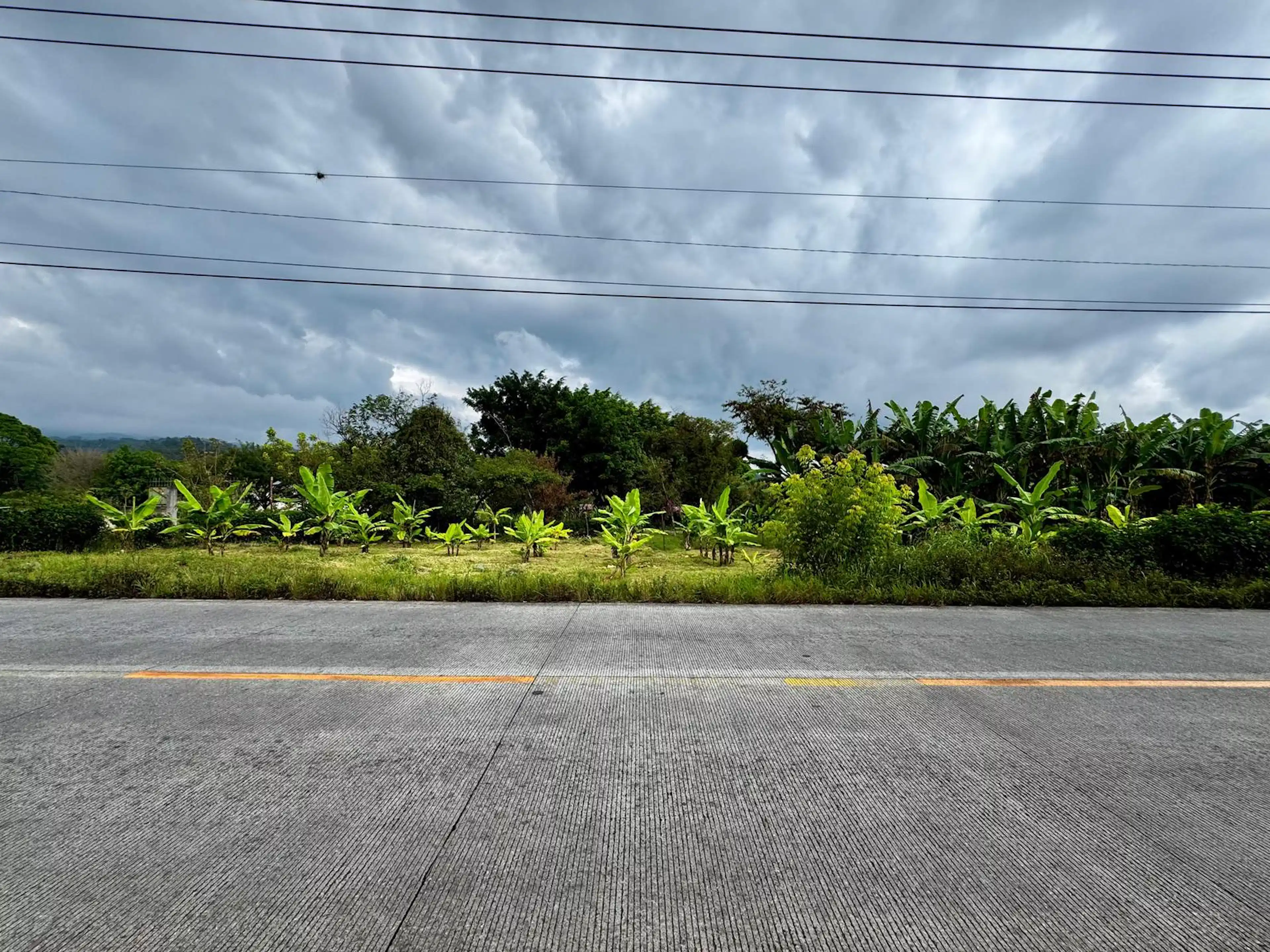 Terreno En Renta Carretera Coatepec-xico Frente Restaurante Mariscos La Chiripa
