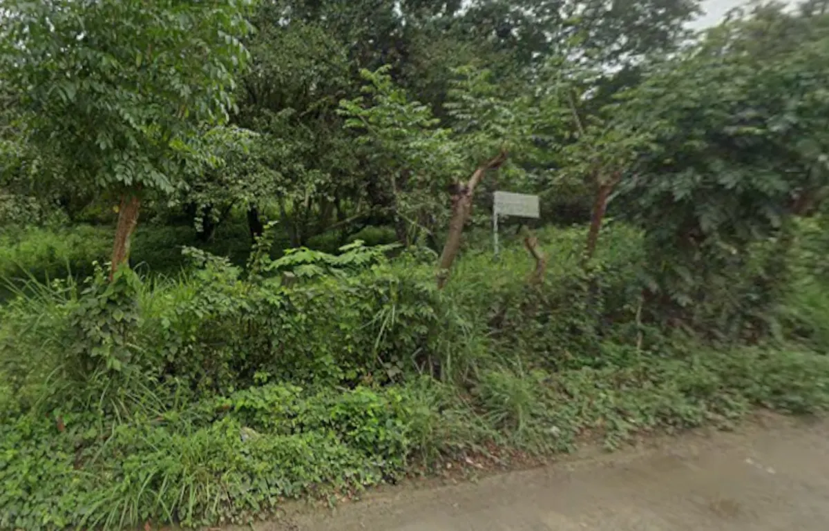 Terreno Spot2