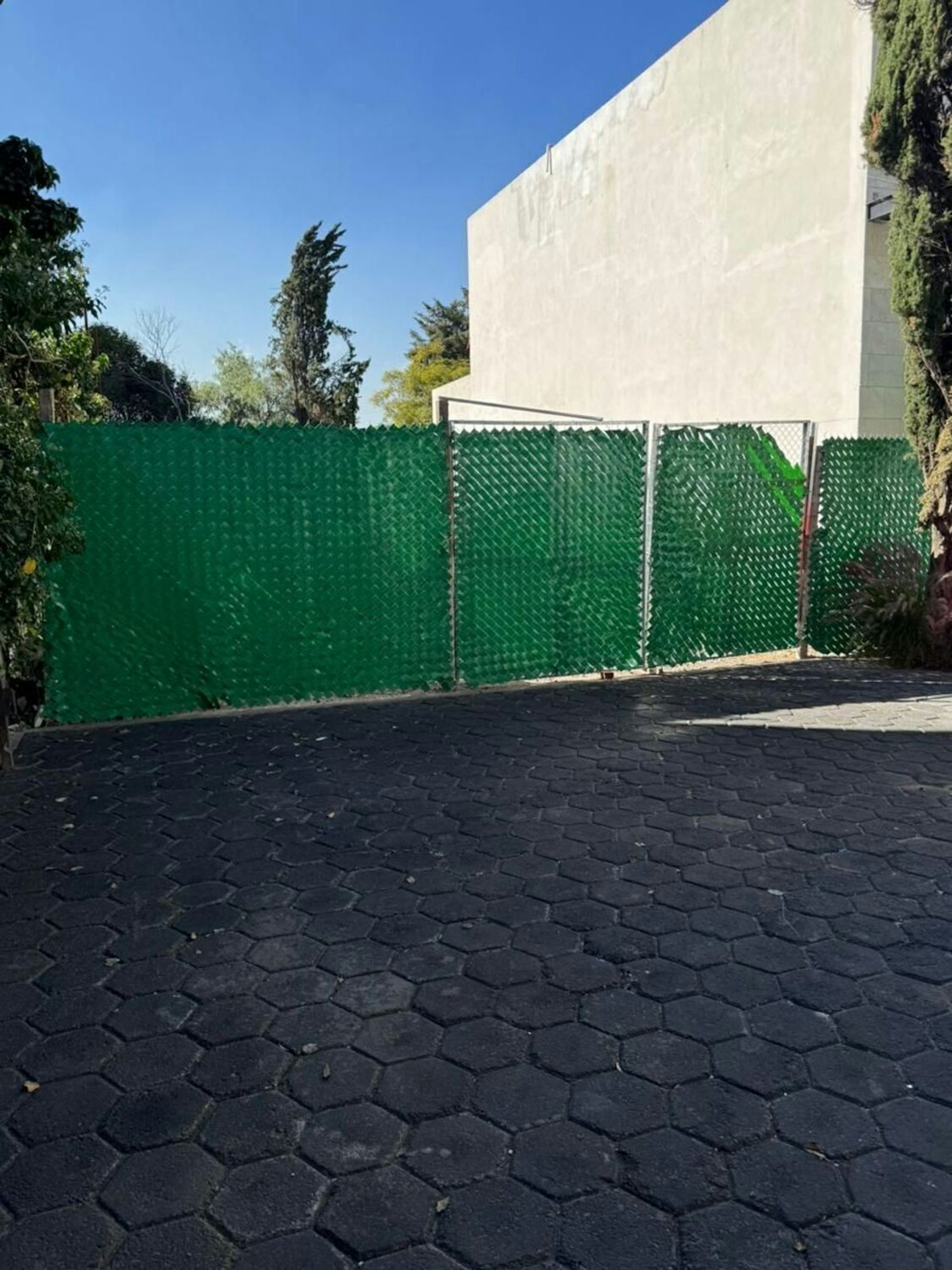 Spot image 0