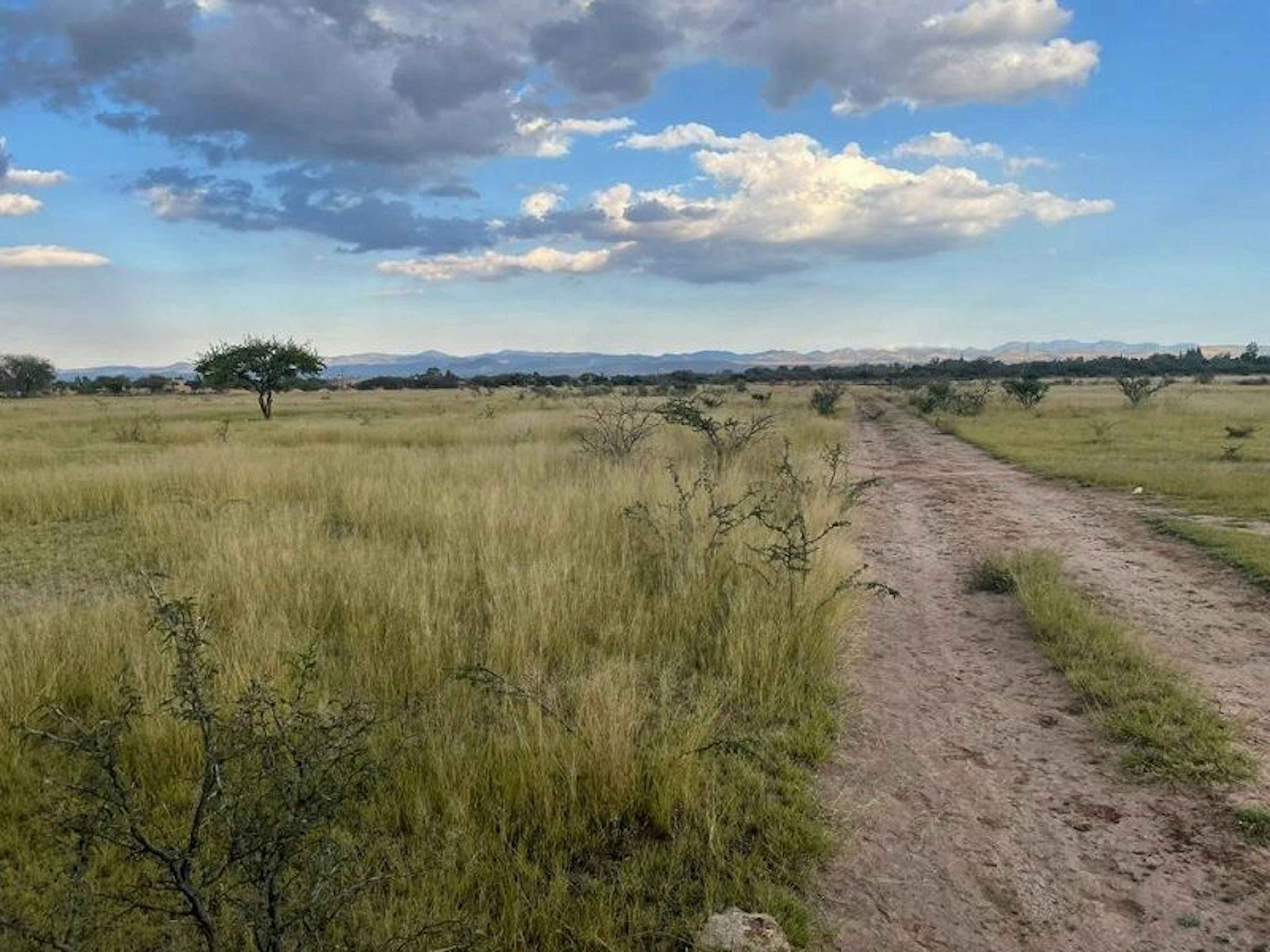 Terreno En Venta En San Luis Potosí  Jesús María