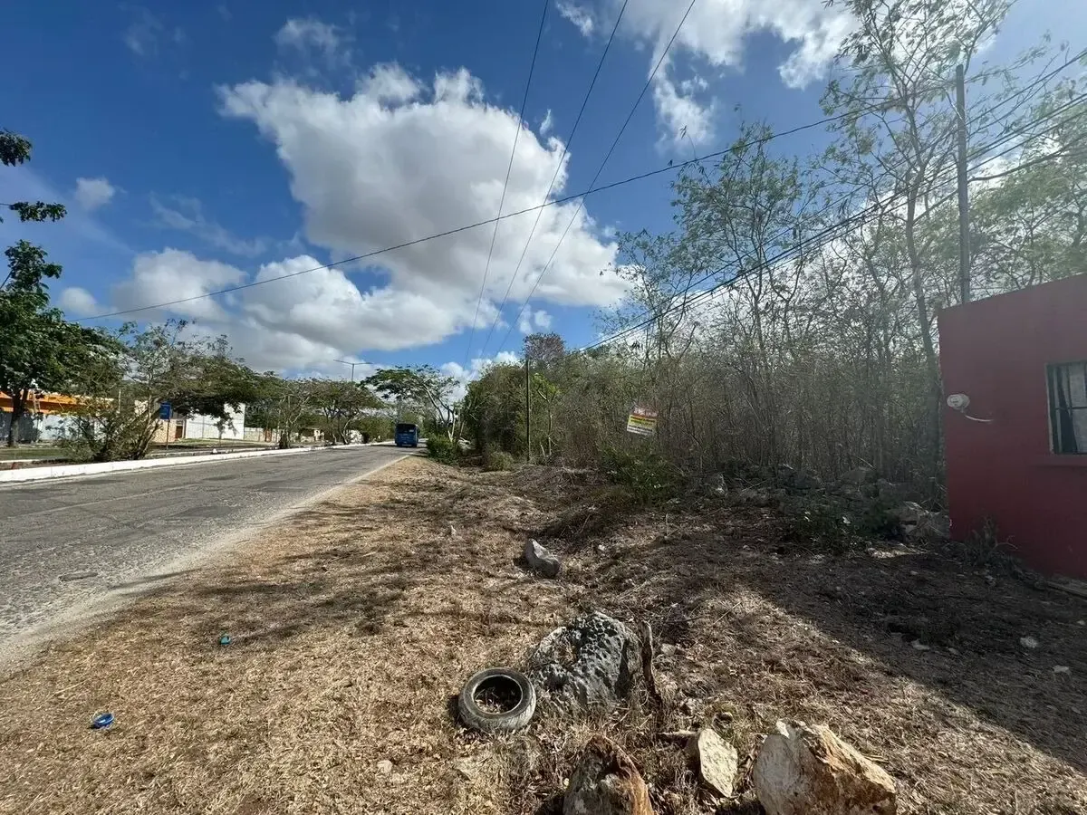 Terreno Spot2