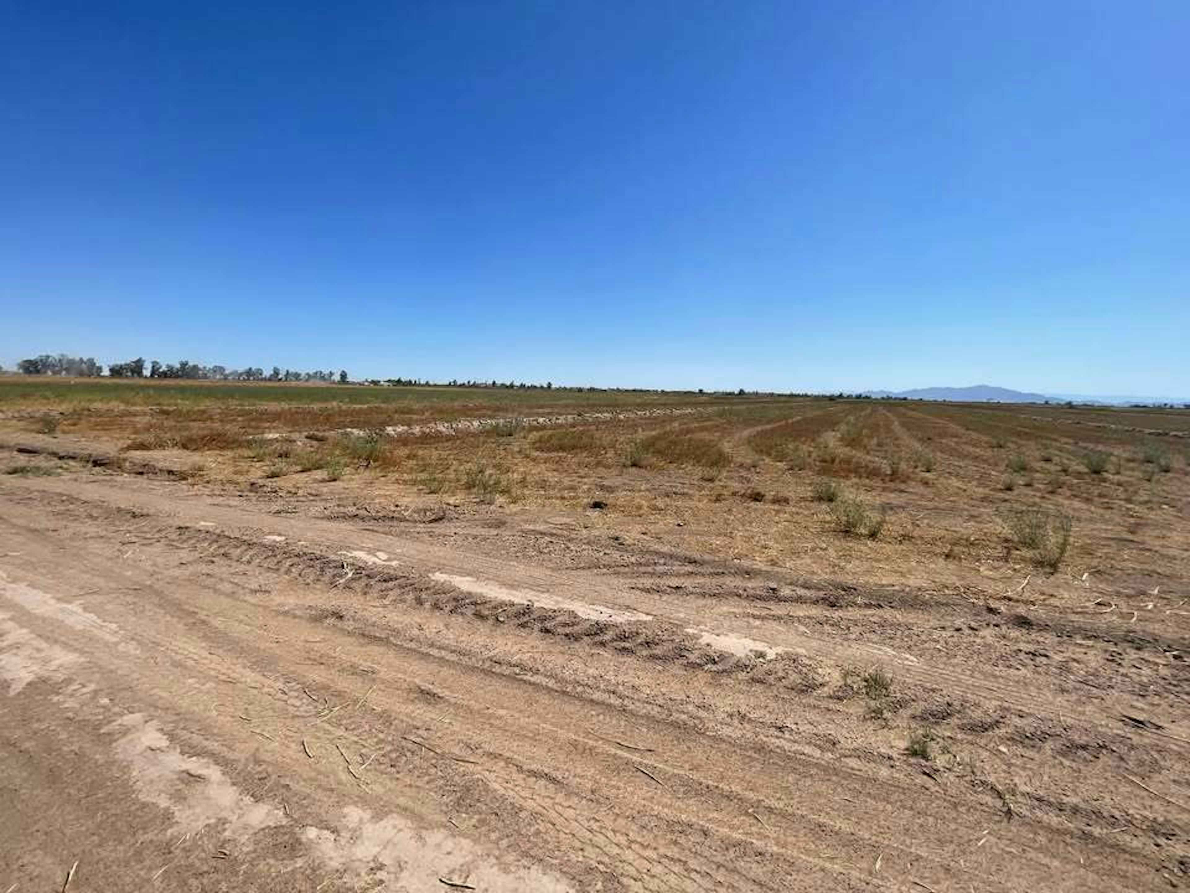 Calzada De Los Insurgentes 1913