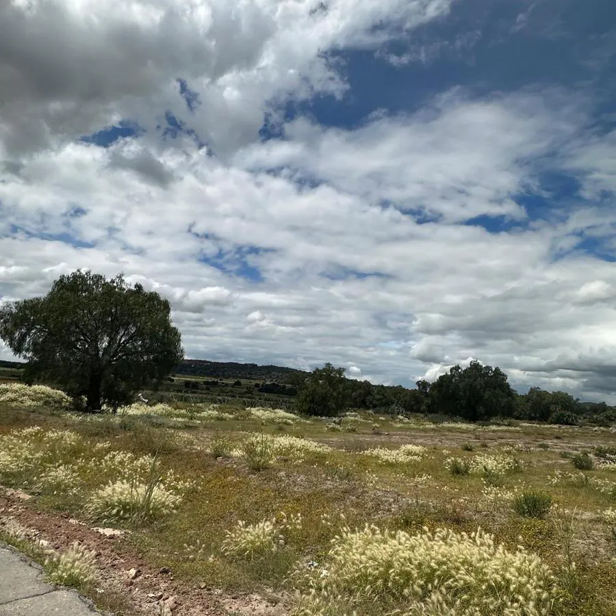 Terreno Spot2