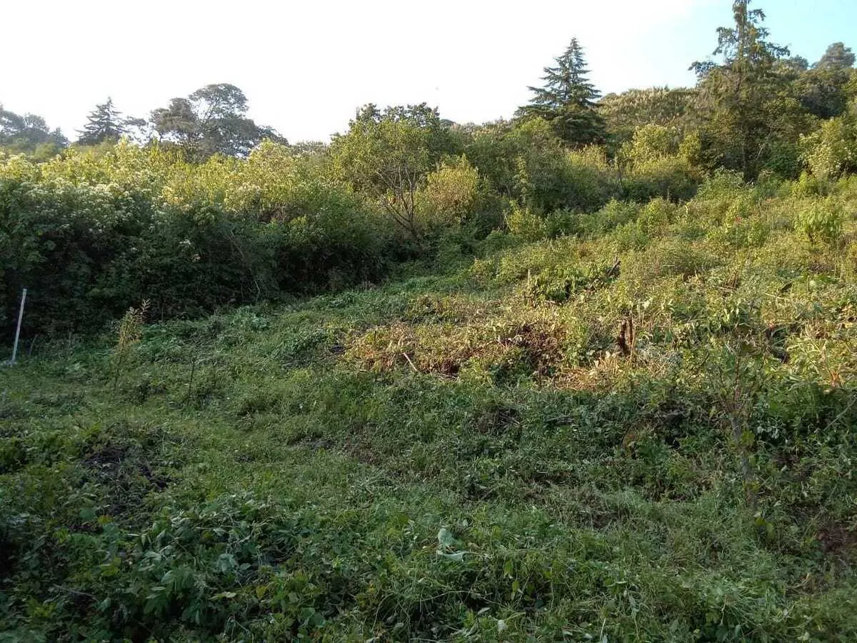 Terreno Spot2