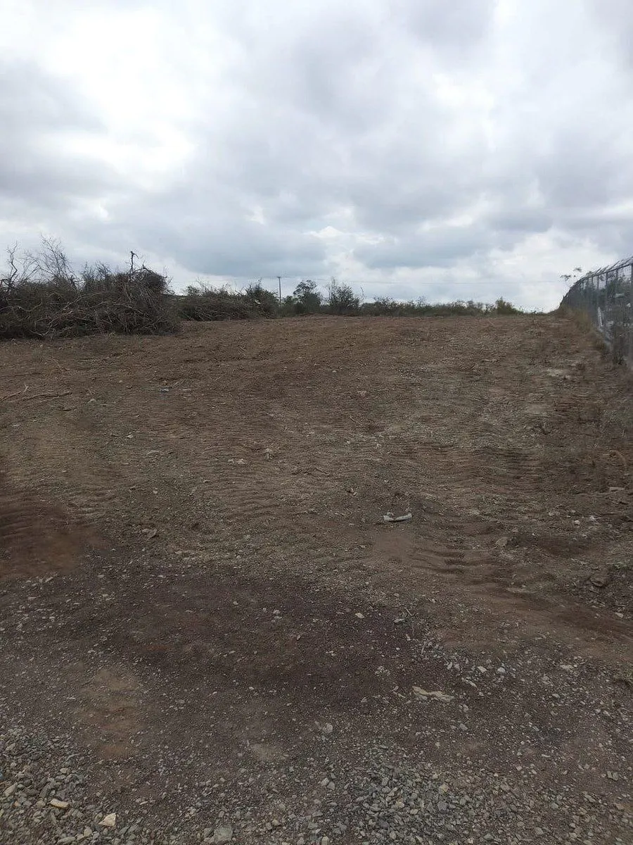 Terreno Spot2