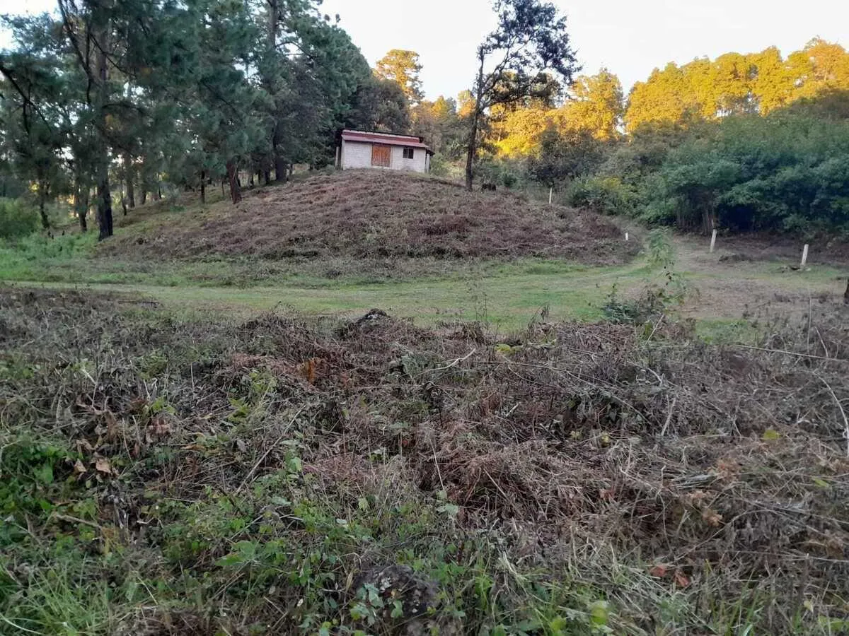 Terreno Spot2