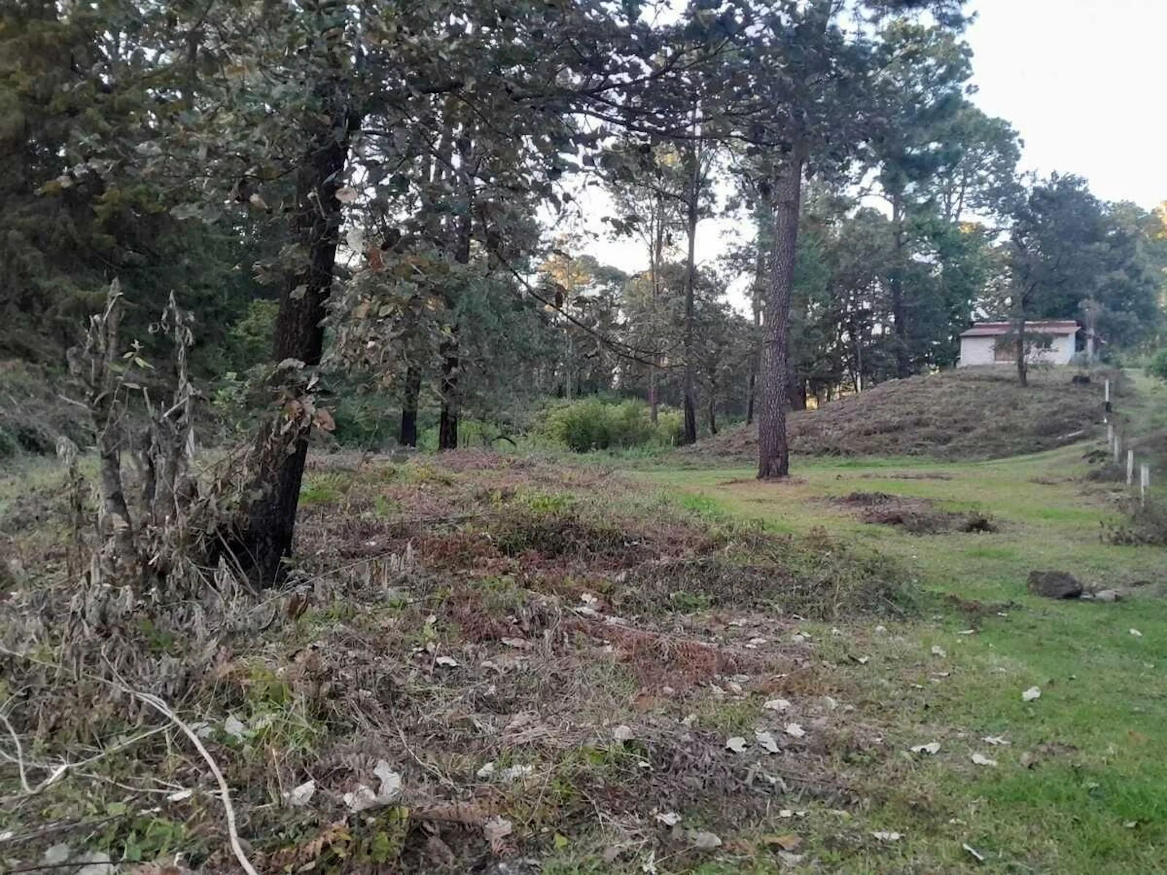 Terreno Plano En Rincón De Estradas, Cerca De Acatitlán