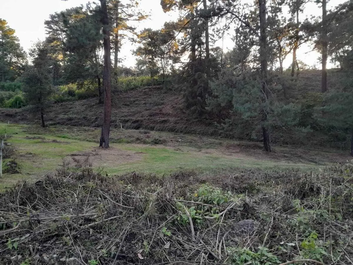 Terreno Spot2
