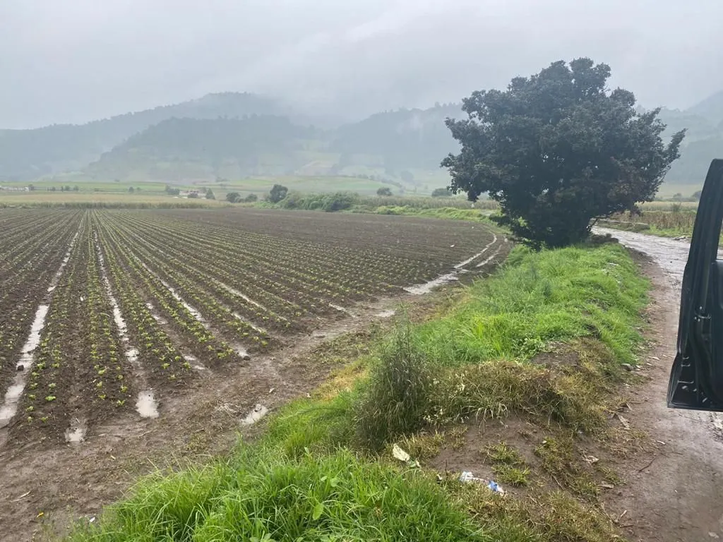Terreno Spot2