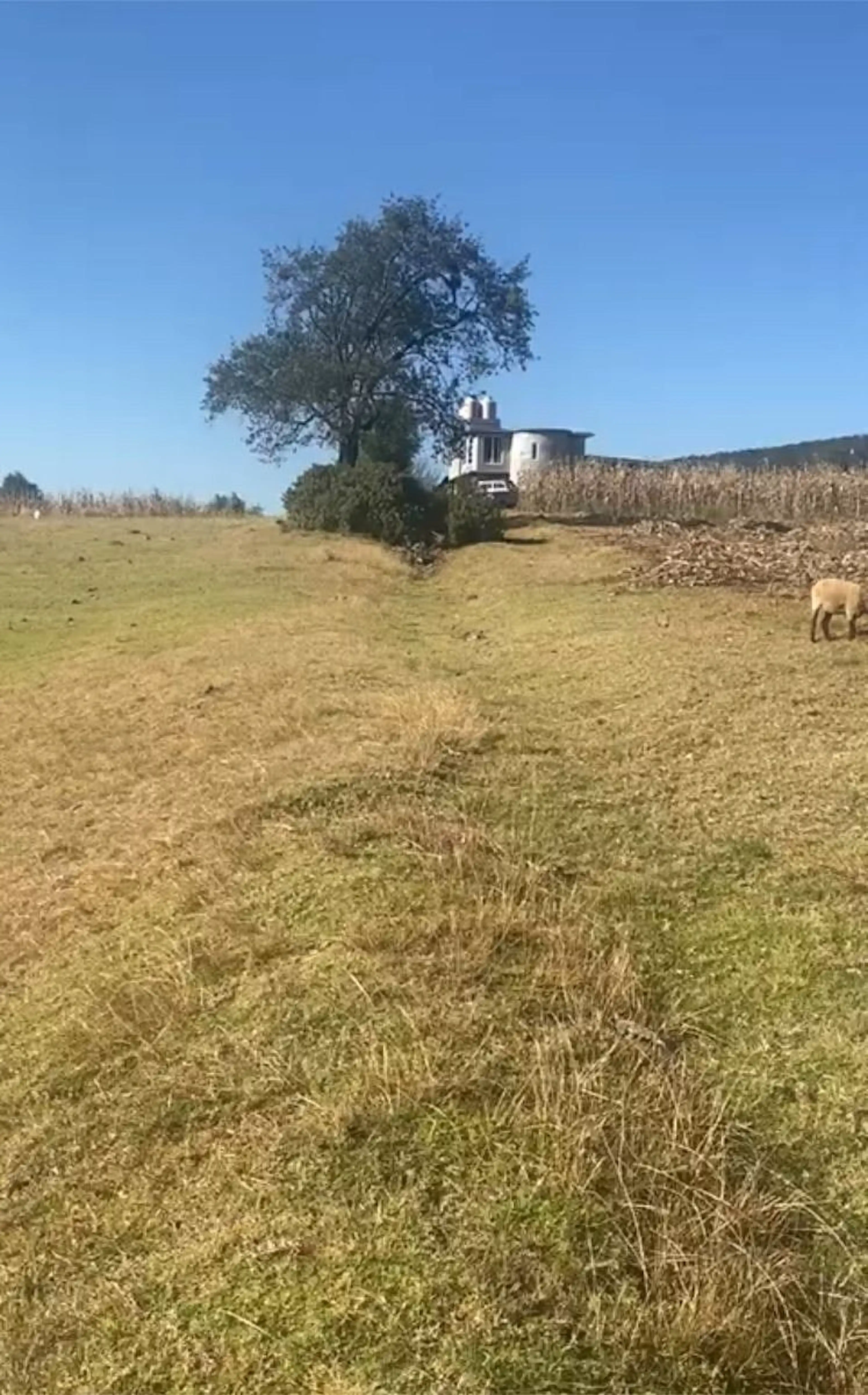 Se Vende Terreno En Chapa De Mota