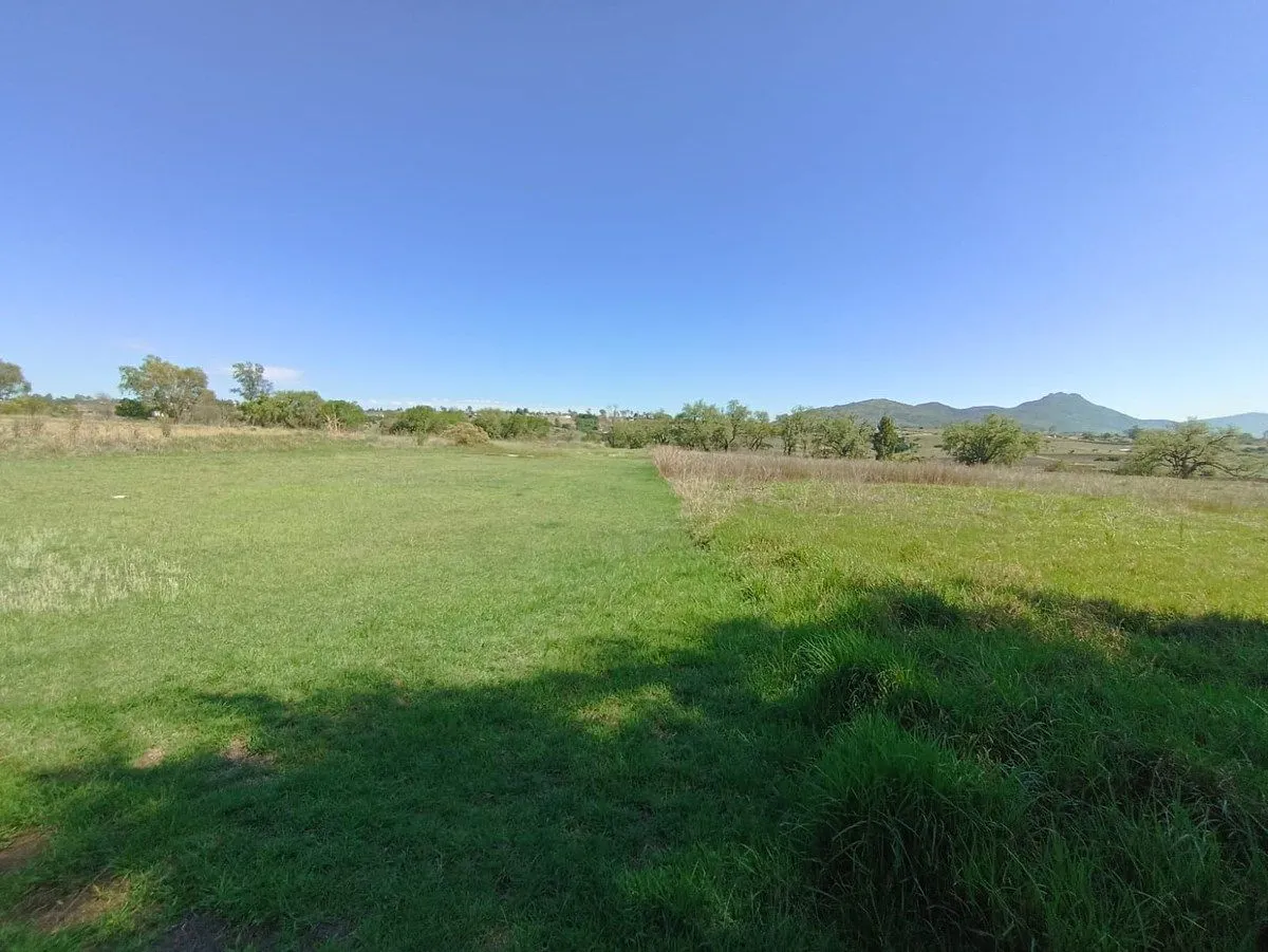 Terreno Spot2