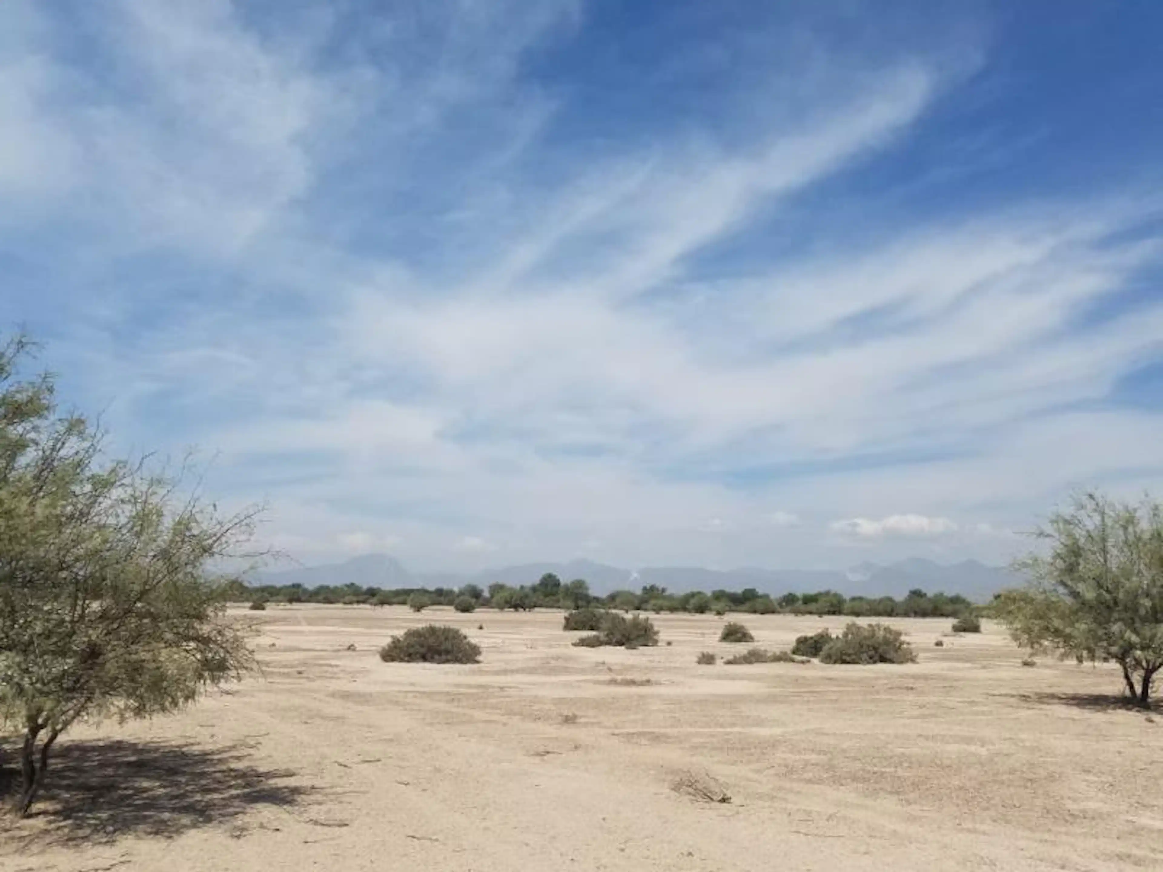 Terreno En Venta En Buendía, Gómez Palacio, Durango