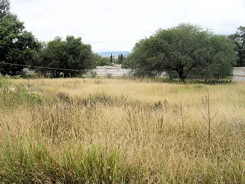 Terreno Spot2