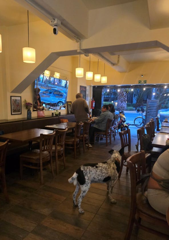 Local Comercial Spot2