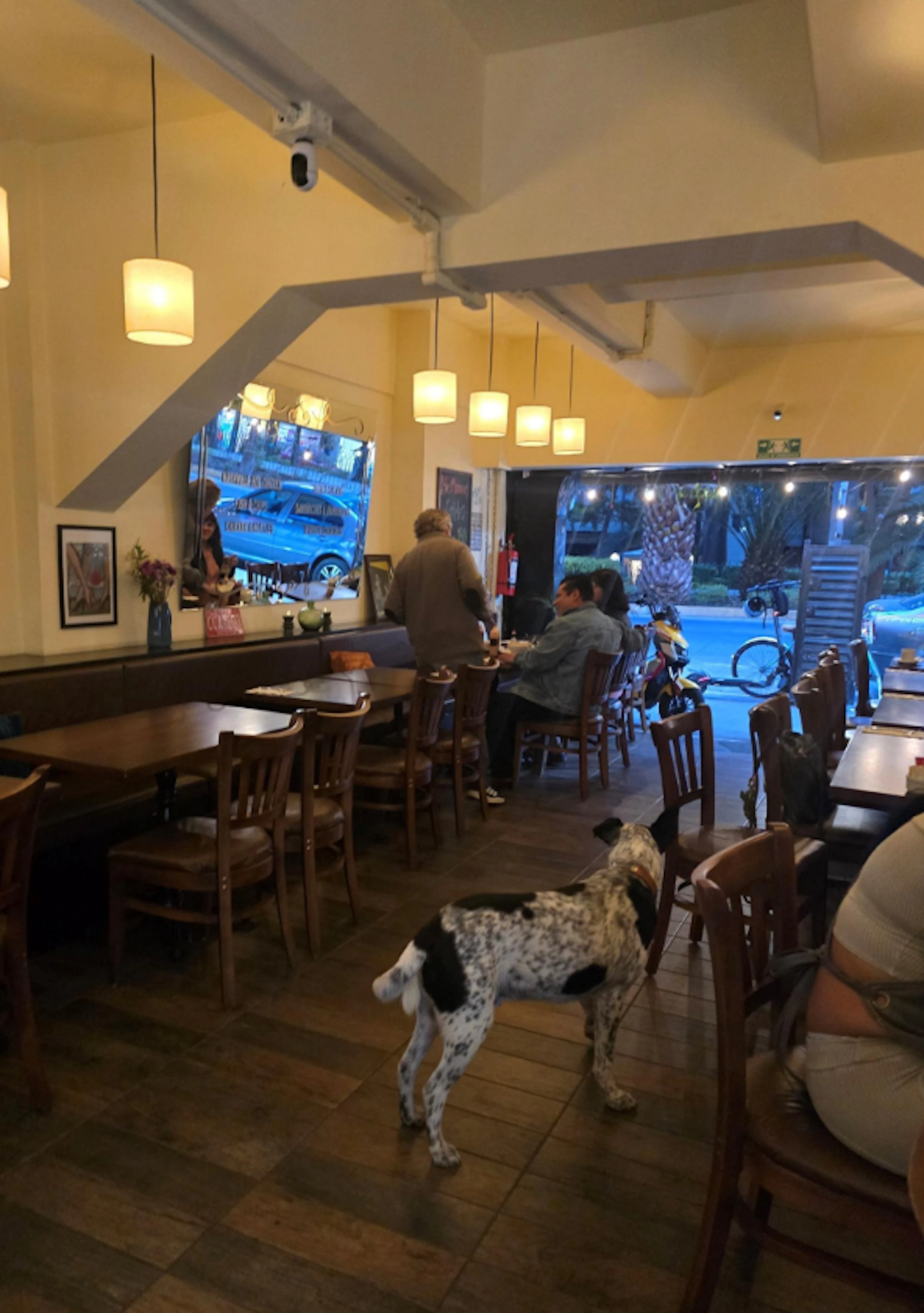 Local Comercial Spot2