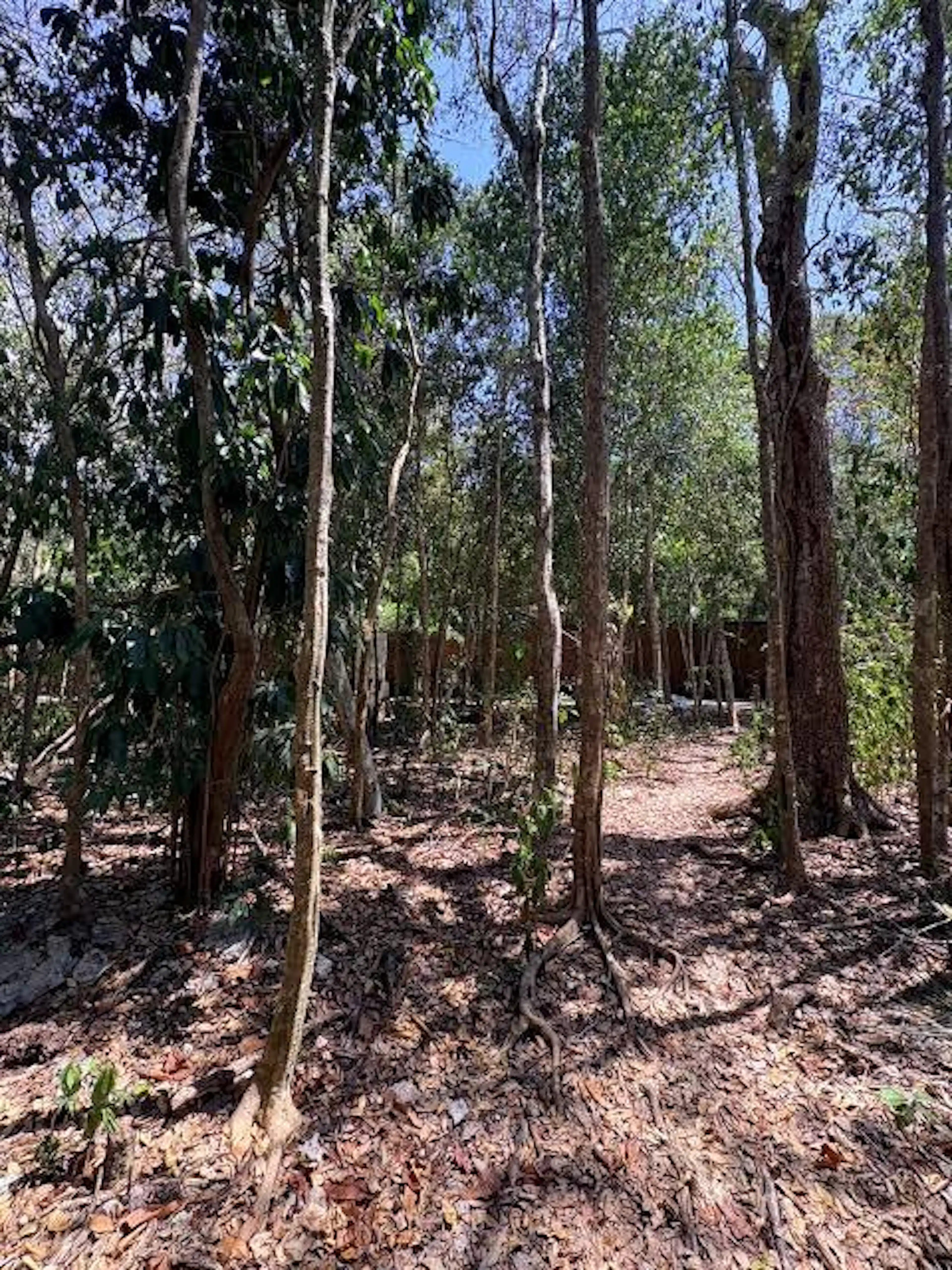 Terreno en venta en Residencial Selvamar Playa del Carmen