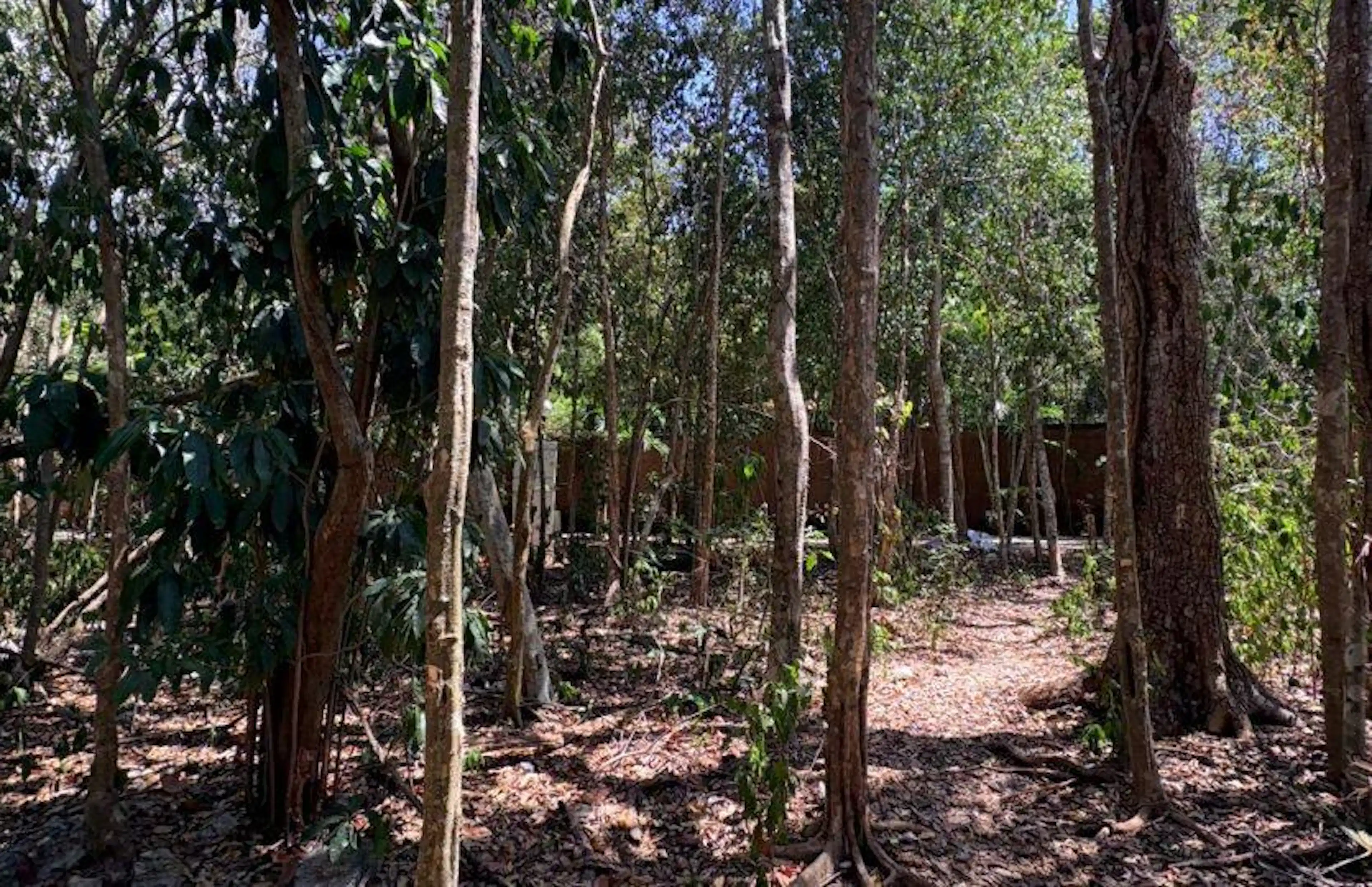 Terreno En Venta En Residencial Selvamar Playa Del Carmen