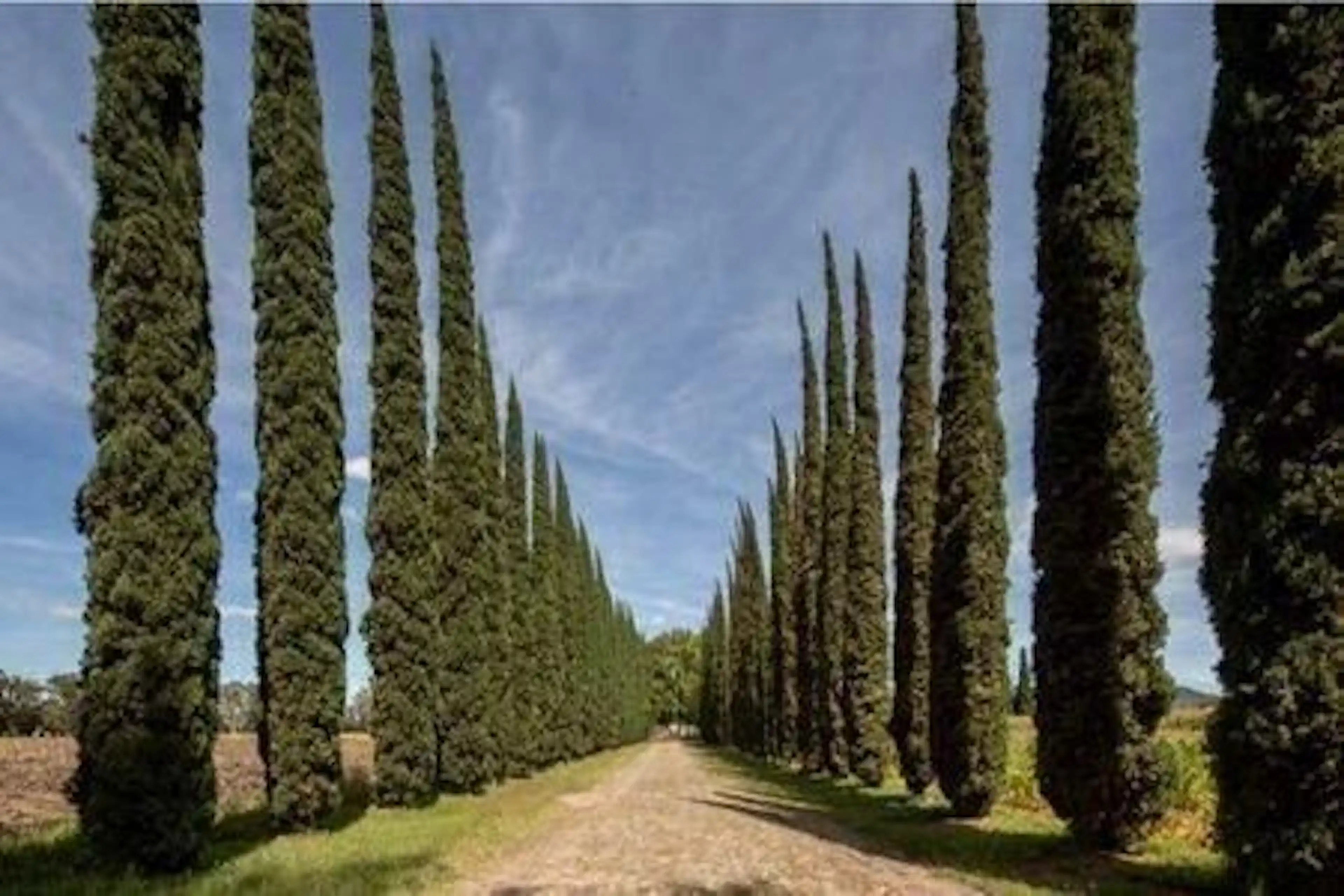 Venta De Terrenos En Cañadas Del Valle