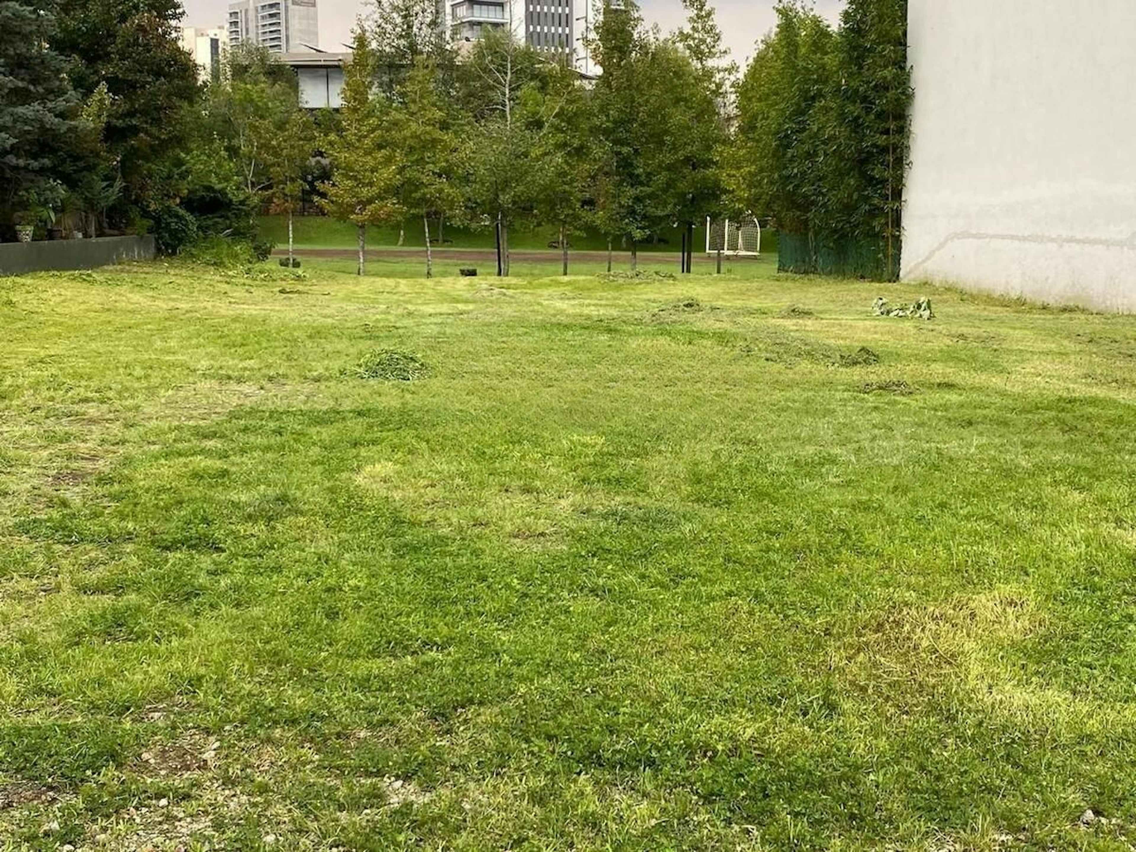 Boulevard Paseo Interlomas 1