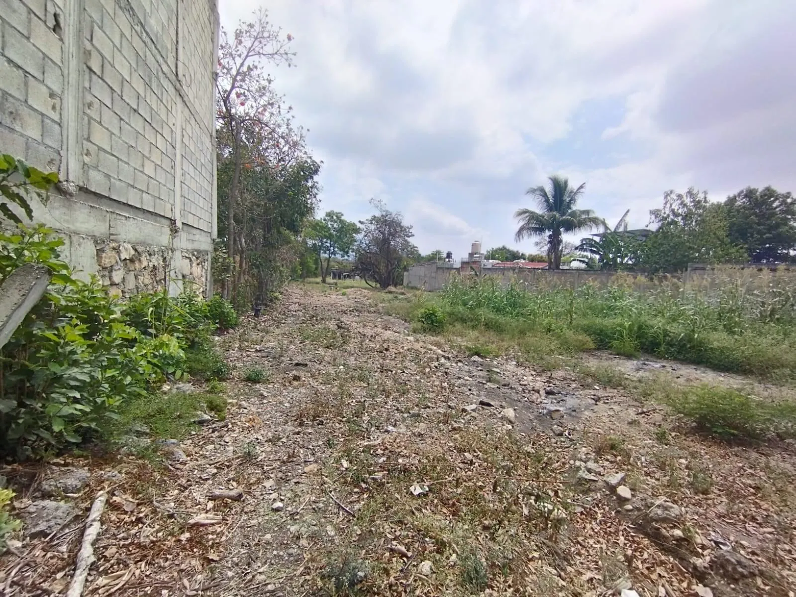 Terreno Spot2