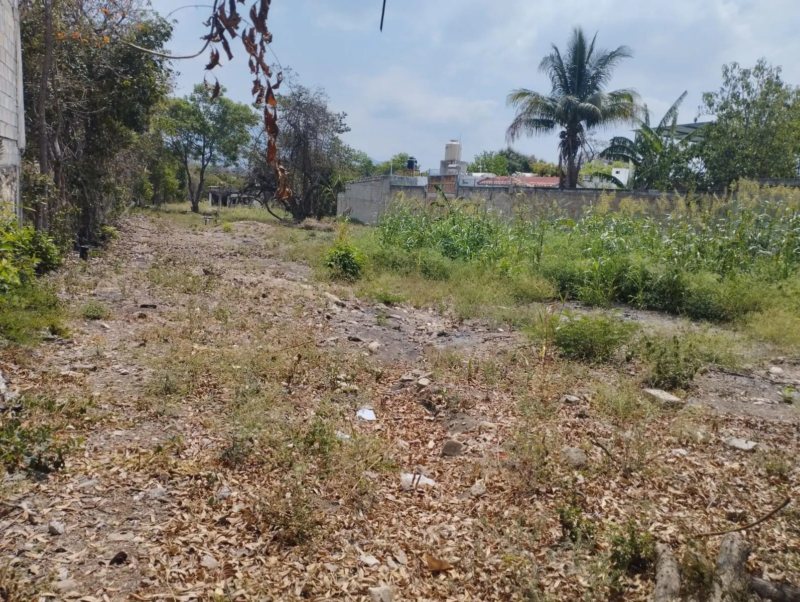 Terreno Spot2