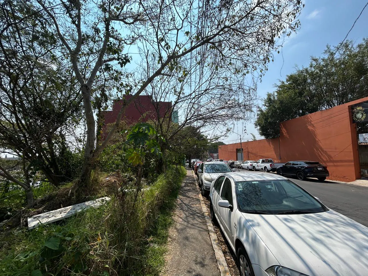 Terreno Spot2