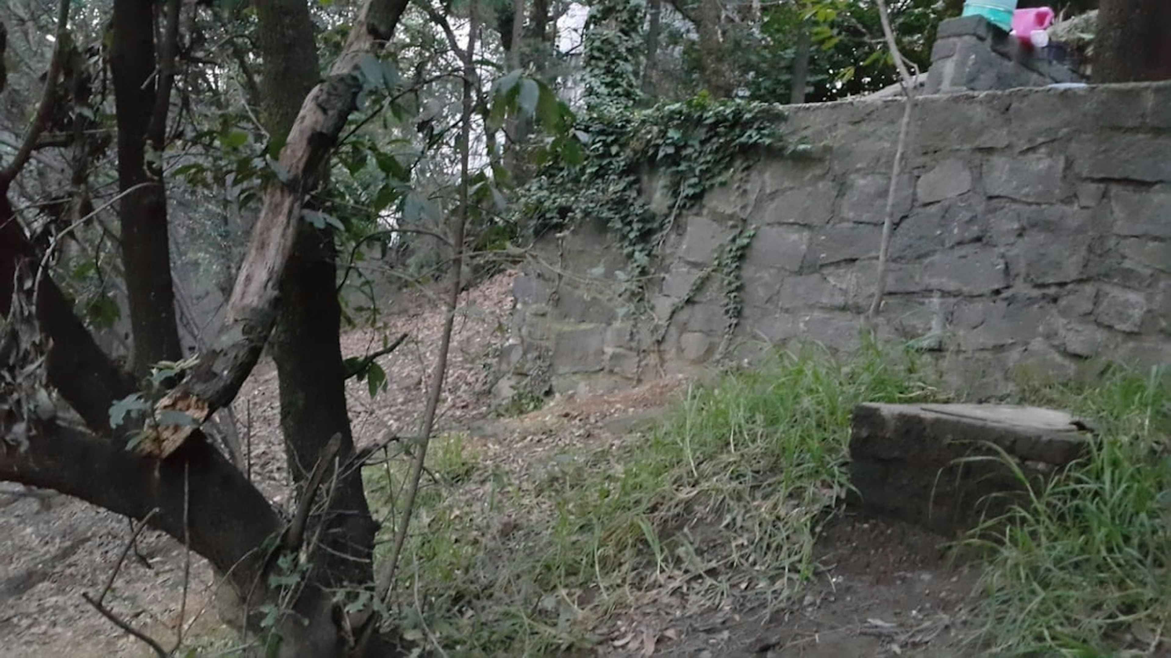 Desierto De Los Leones 25