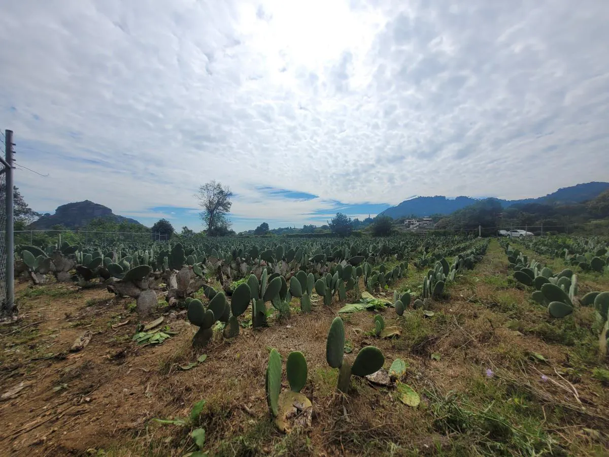 Terreno Spot2