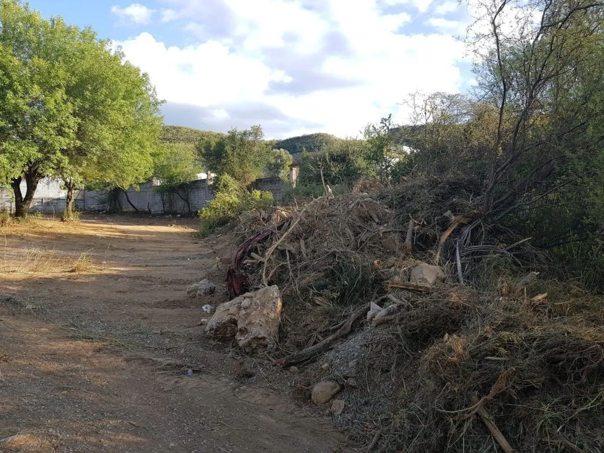 Terreno Spot2