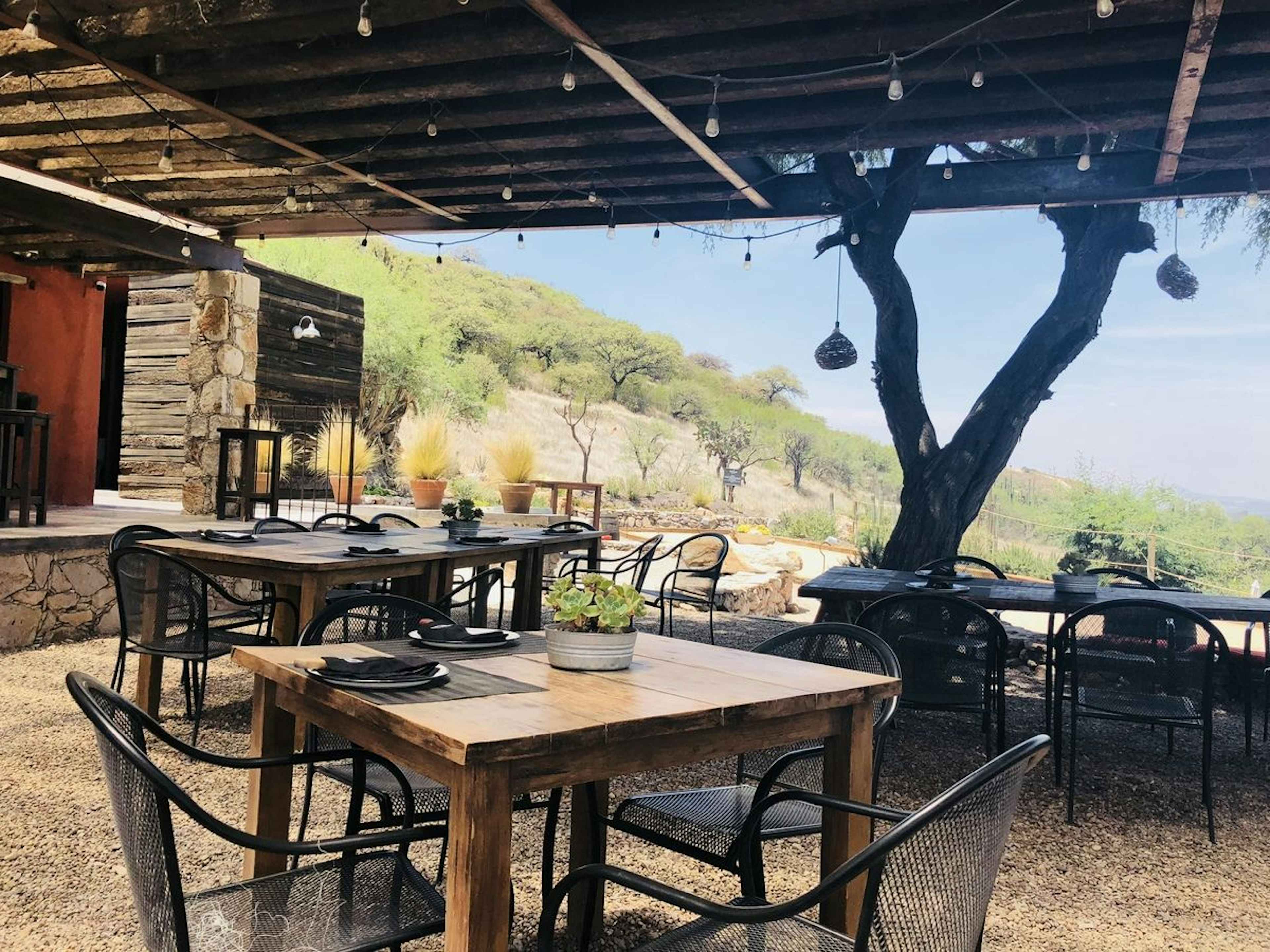 Terreno En Venta Con Viñedo En Querétaro