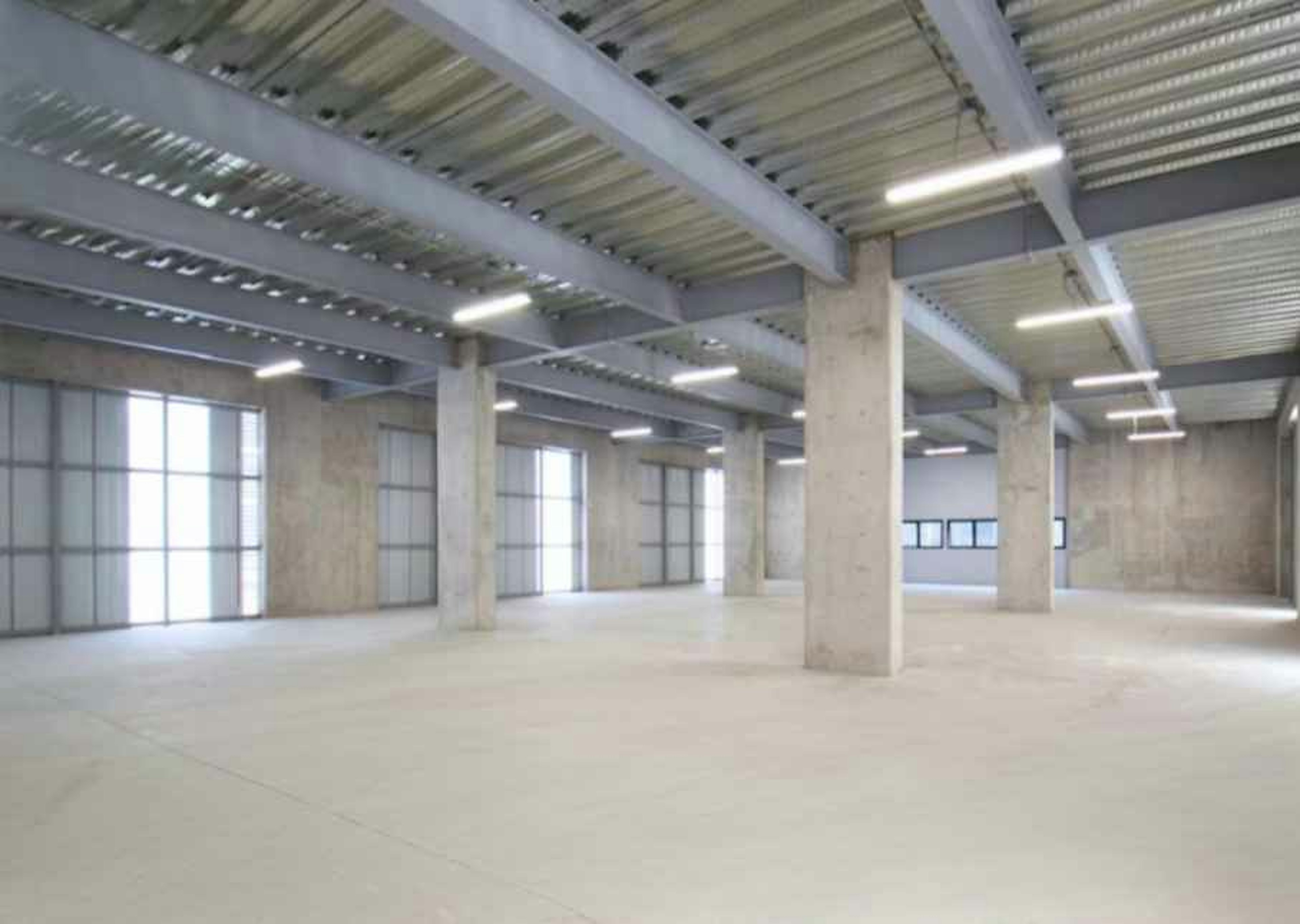 Spot image 0