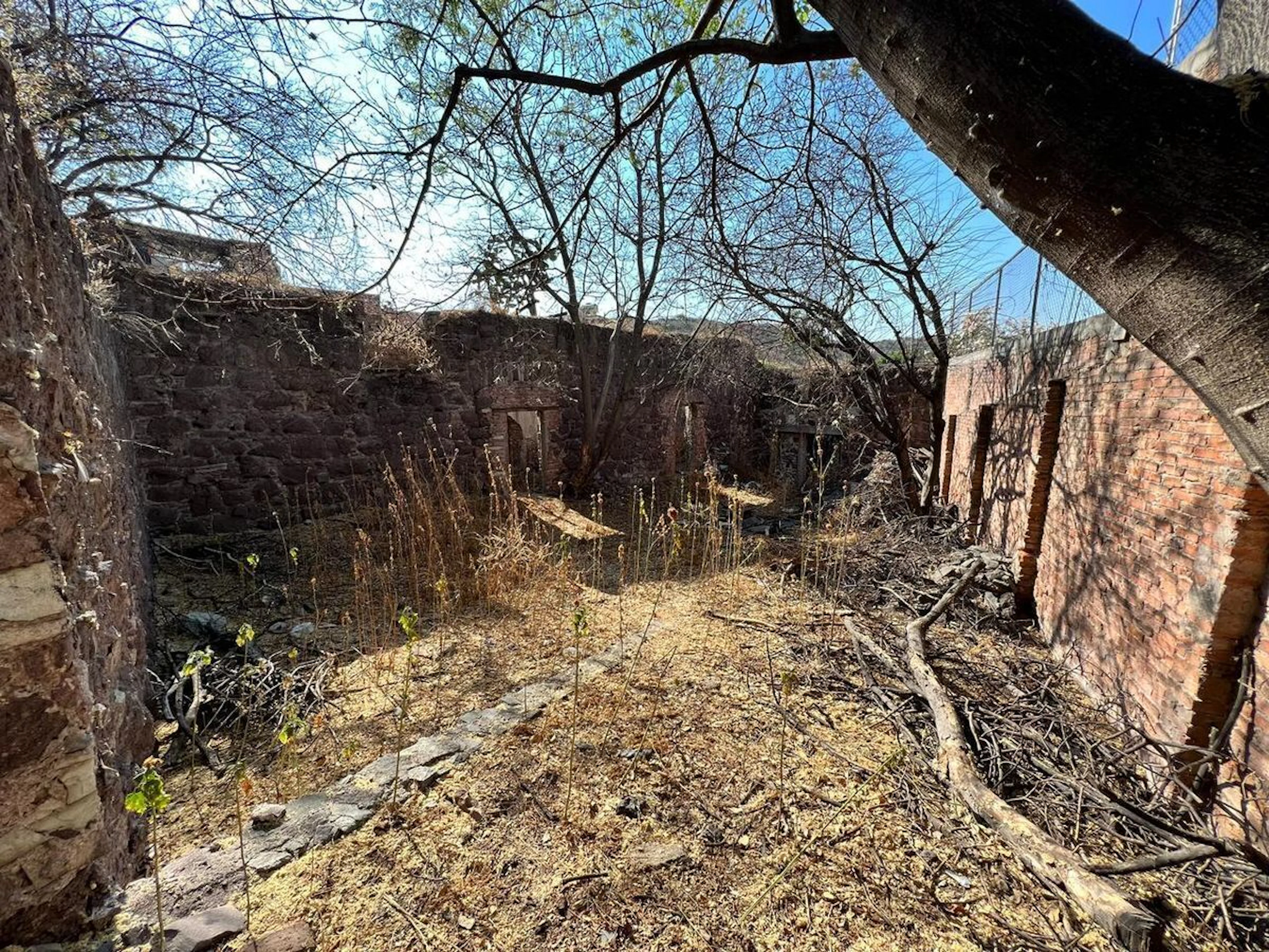 Terreno Spot2