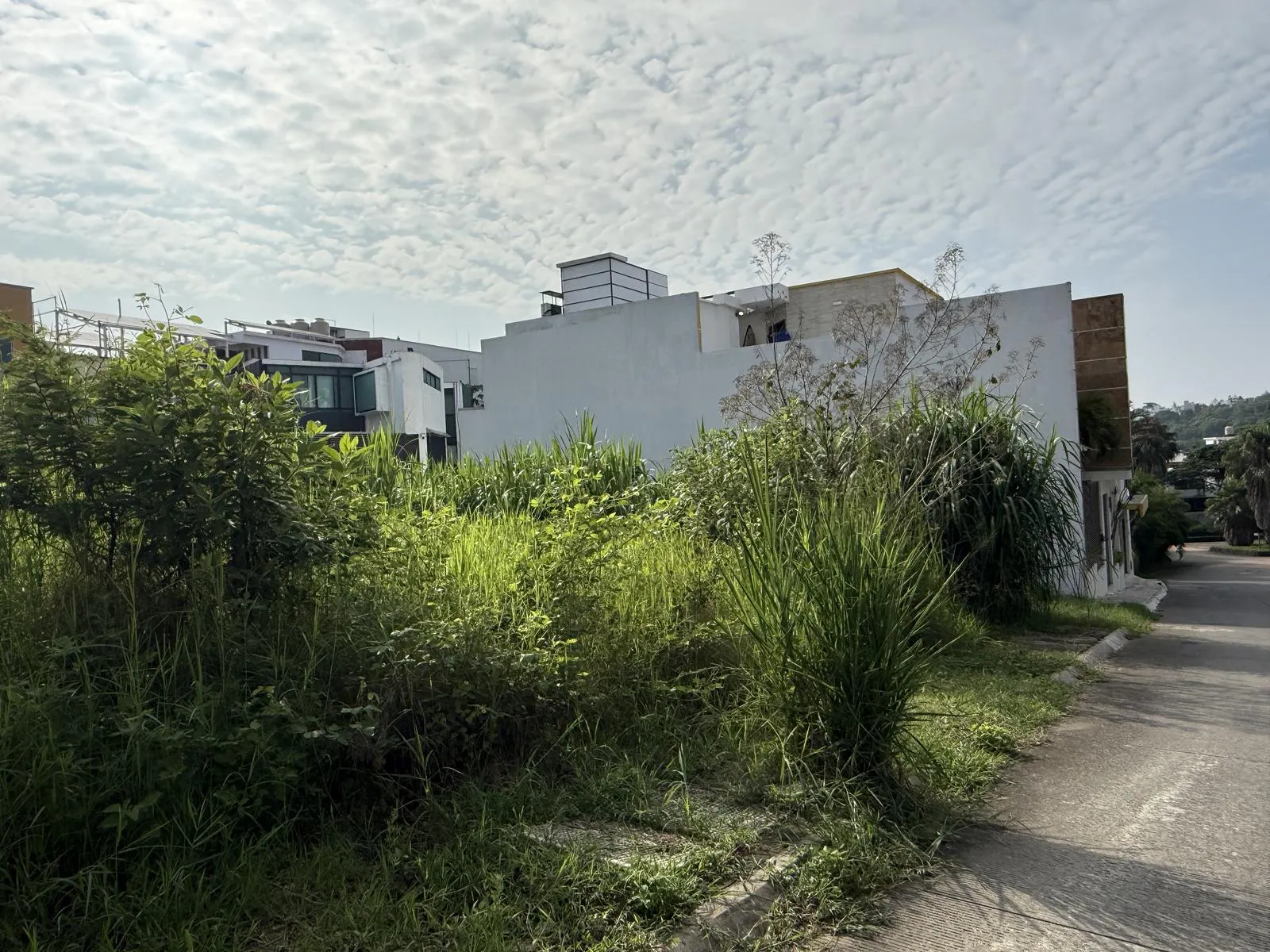 Terreno Spot2