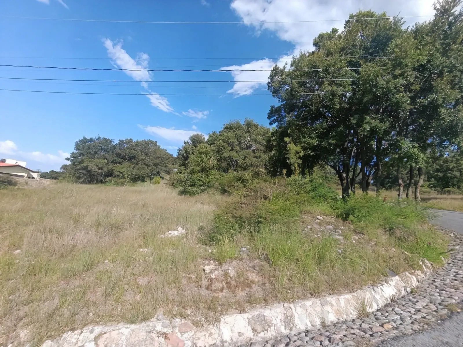 Terreno Spot2