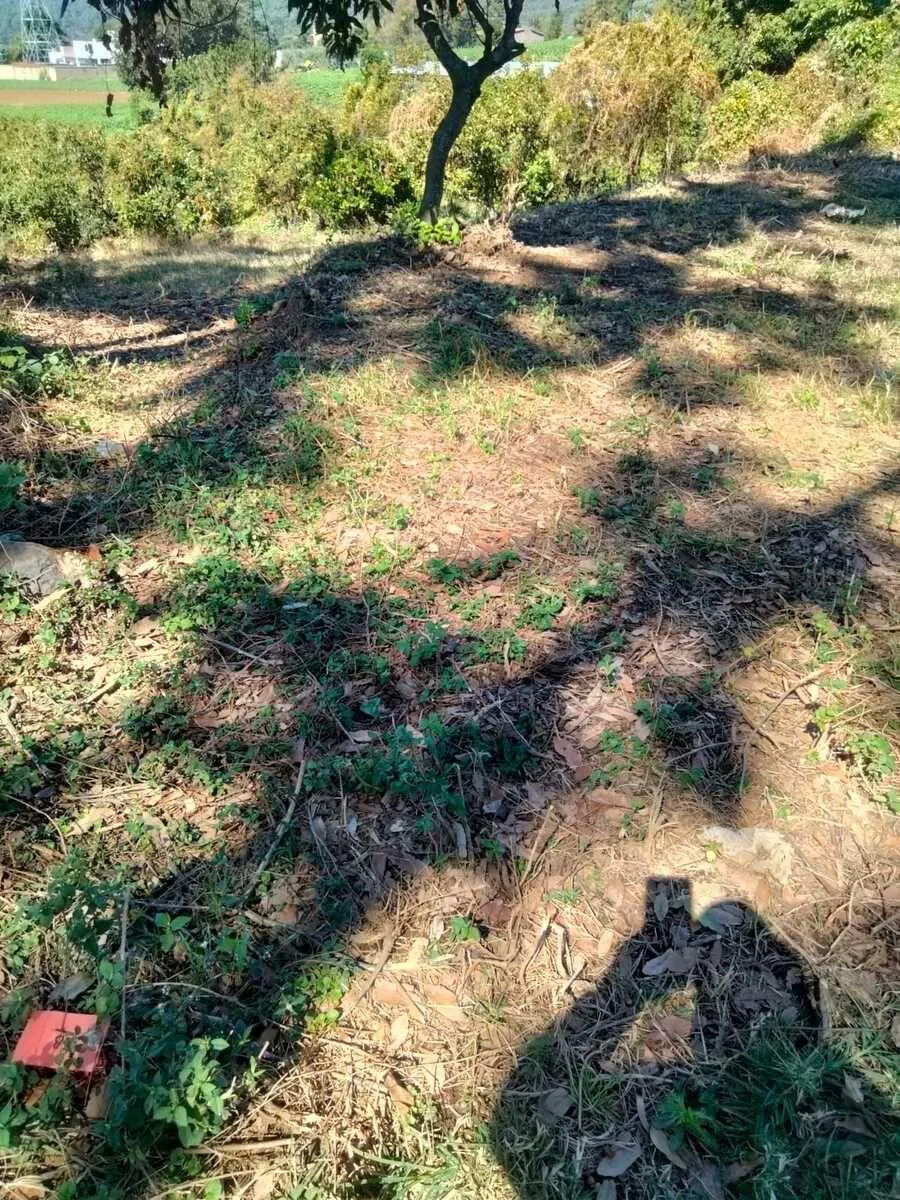 Terreno Spot2