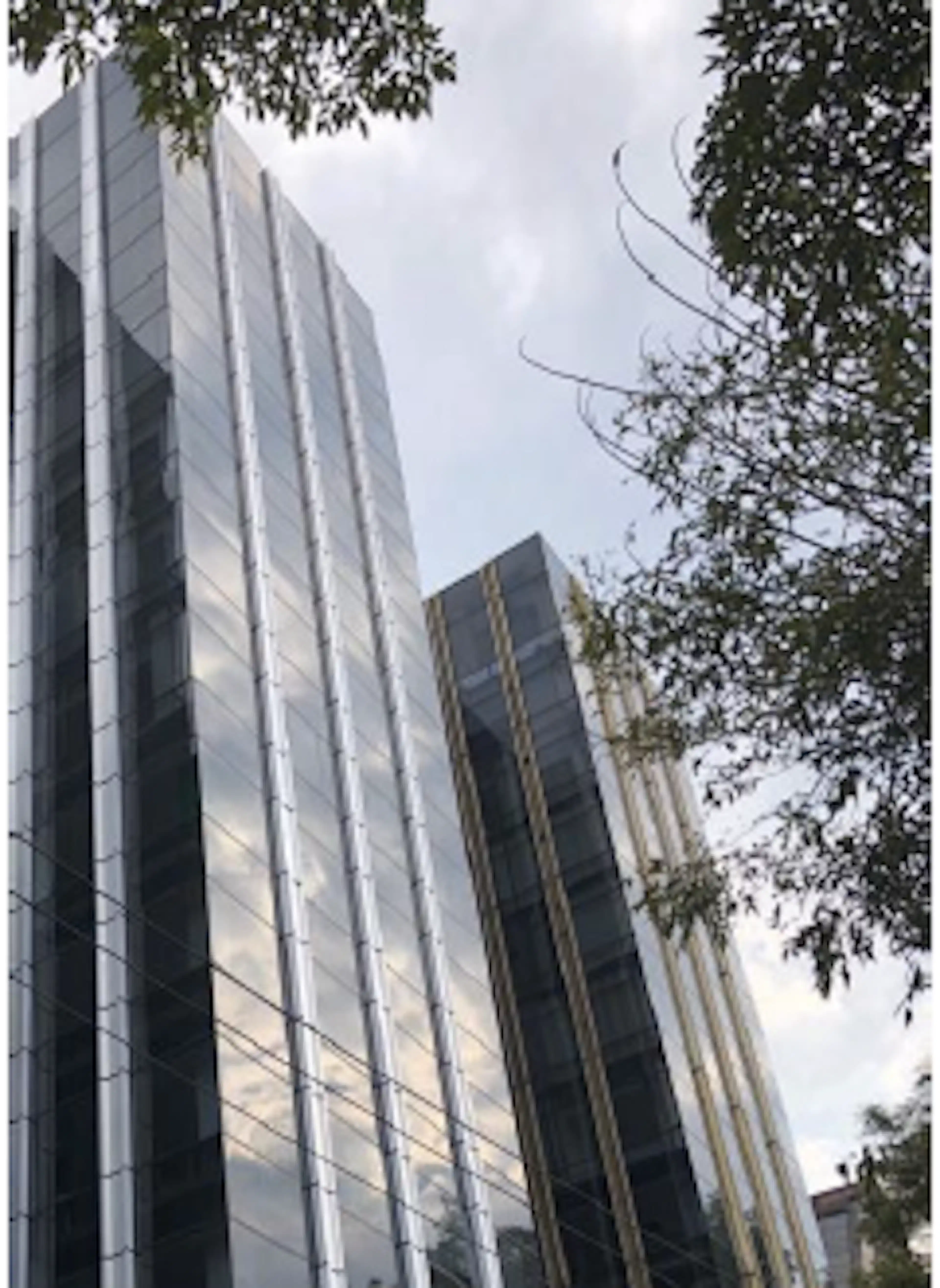 Avenida Insurgentes Sur