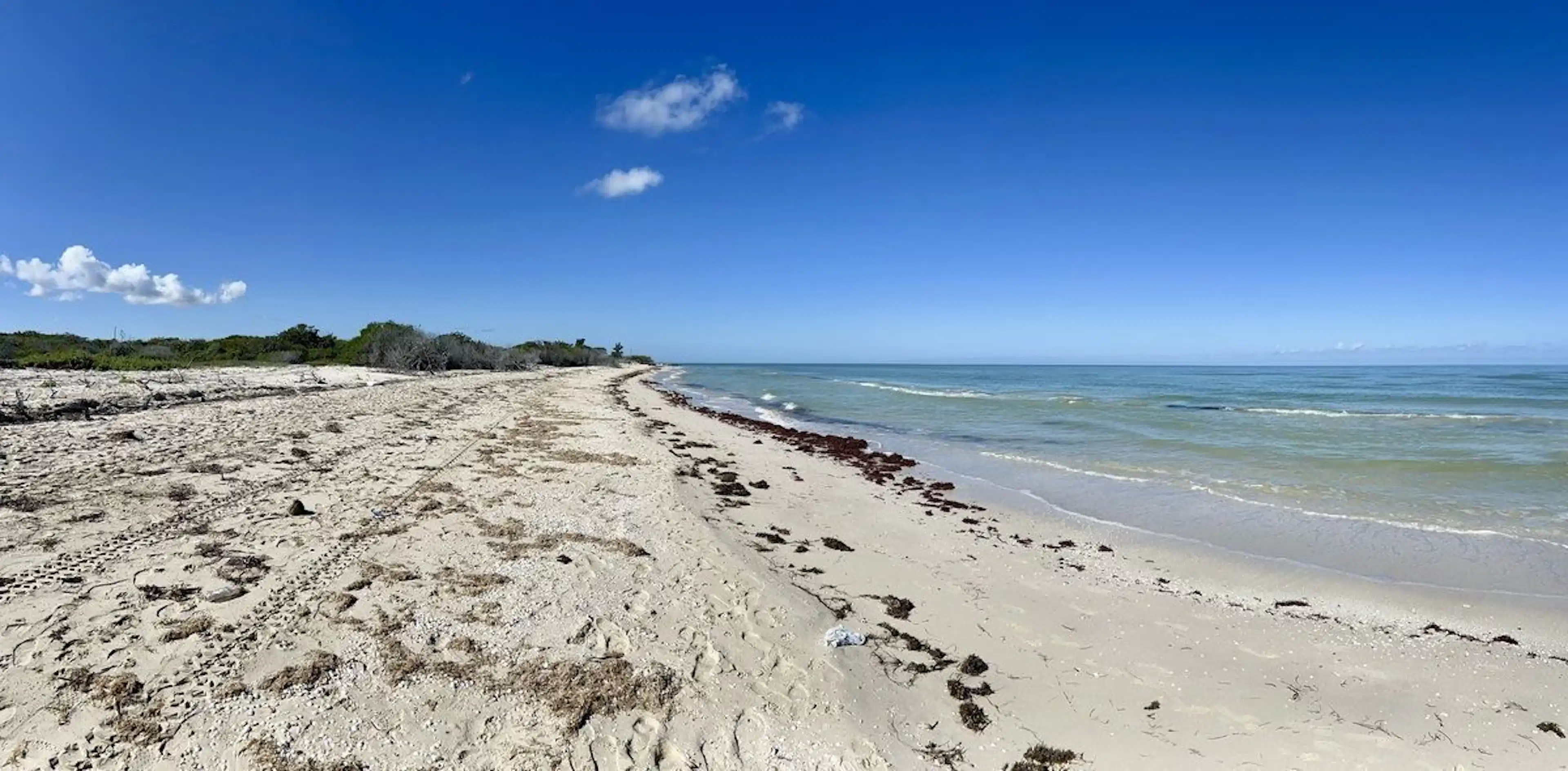 Lote 153 Frente Al Mar, En Chuburná Puerto, Yucatán