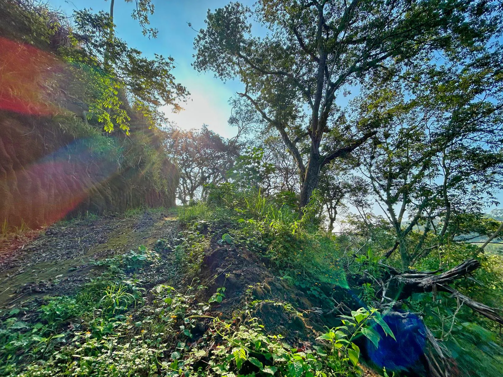 Terreno Spot2