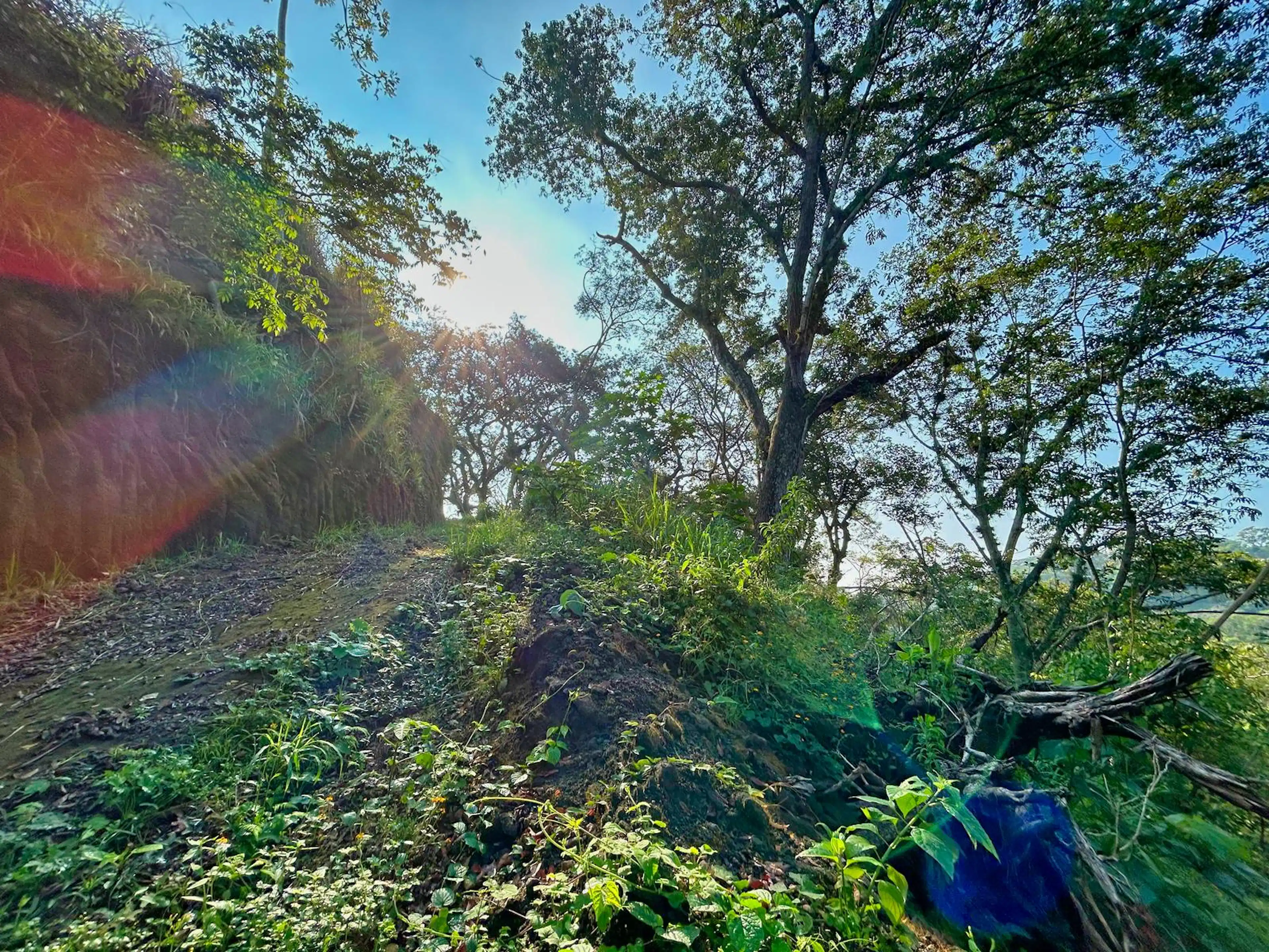 Terrenoterreno En Venta En Miahuatlán Veracruz 5.5 Hectáreas