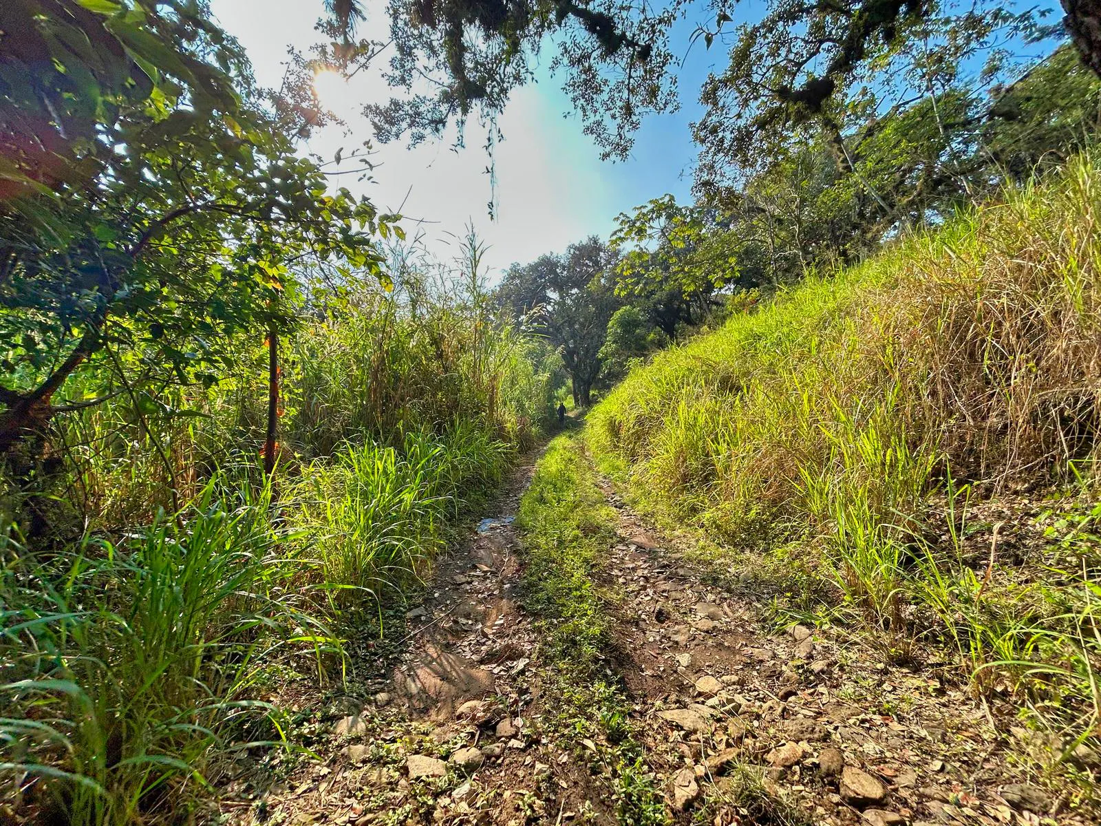 Terreno Spot2