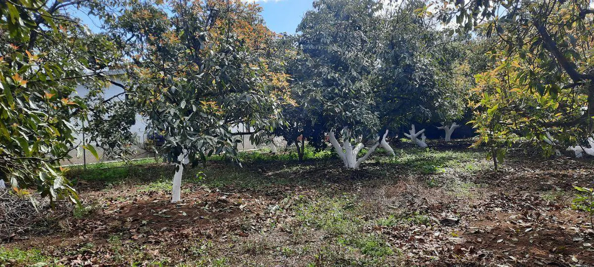 Terreno Spot2
