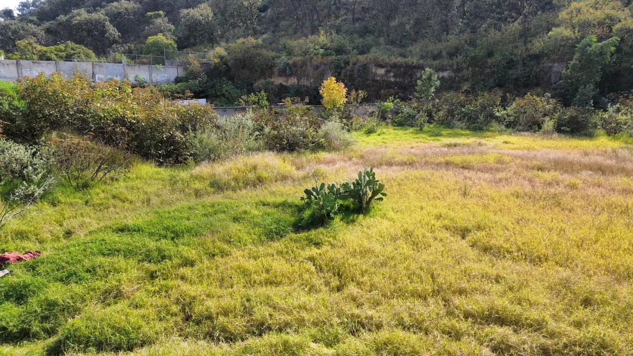 Terreno Spot2