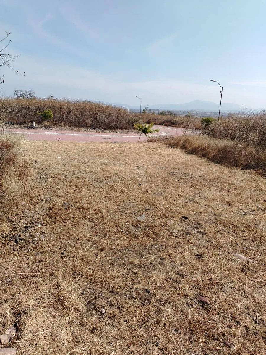 Terreno Spot2