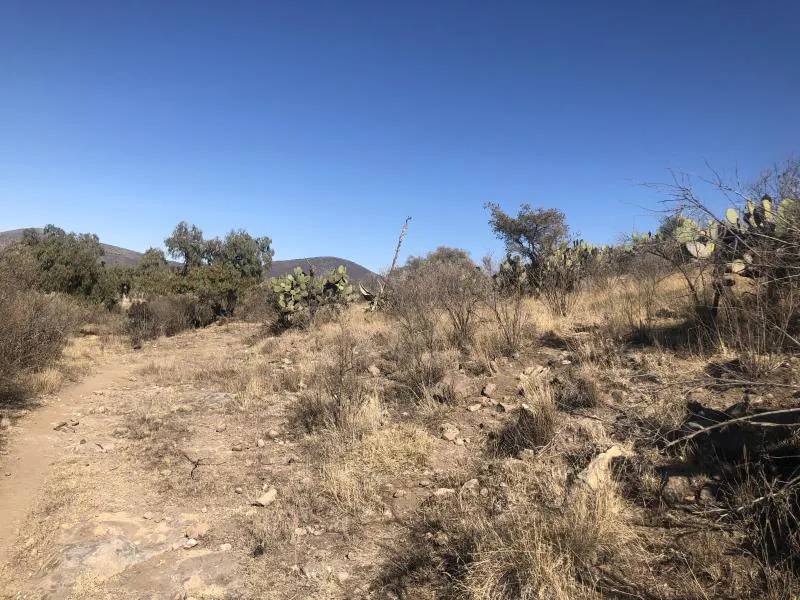 Terreno Spot2