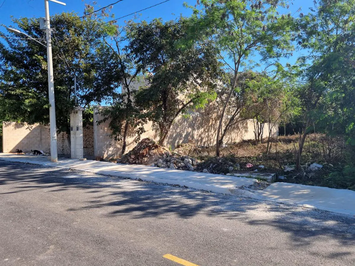 Terreno Spot2