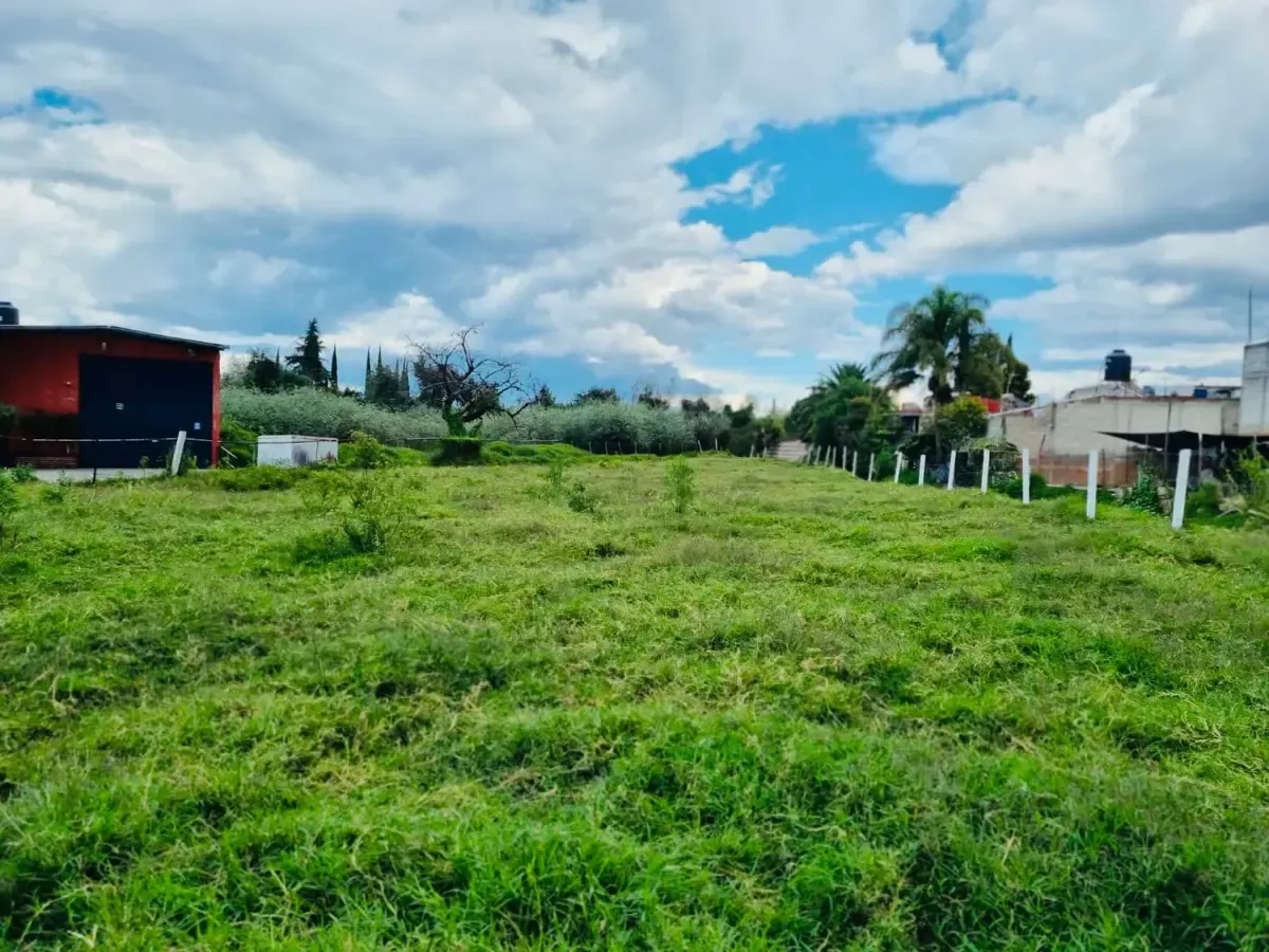Terreno Spot2